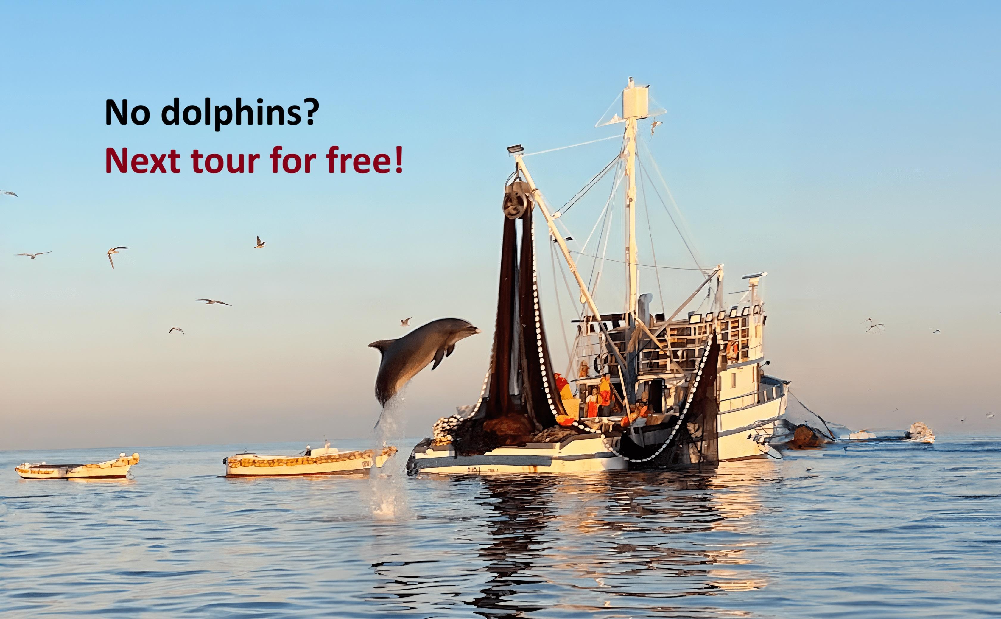 Dawn Dolphin Encounter & Fishing Fleet Speedboat Tour