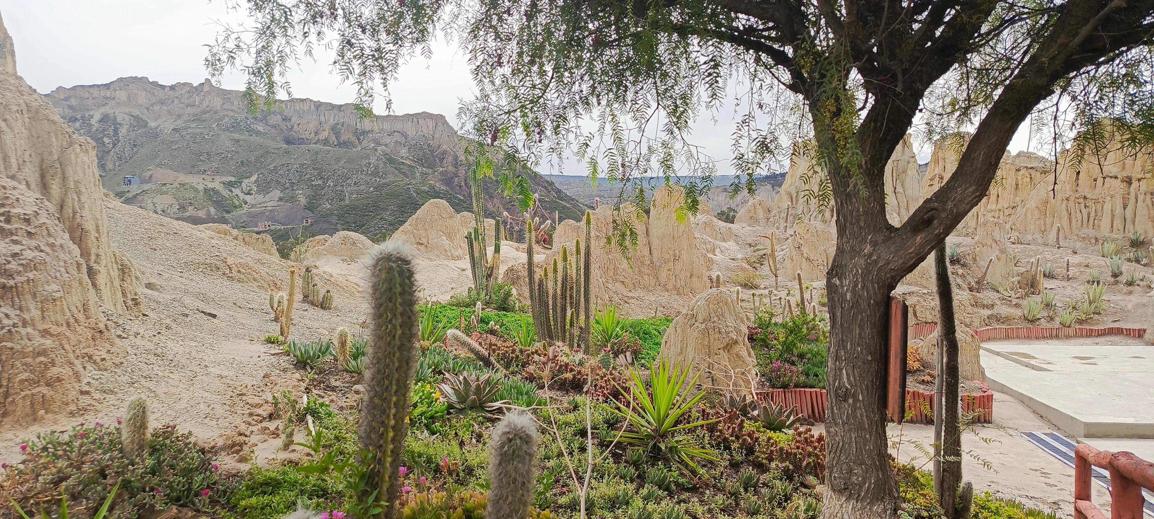 Aventure d'une demi-journée : Valle de las Animas, Vallée de la Lune et Killi Killi