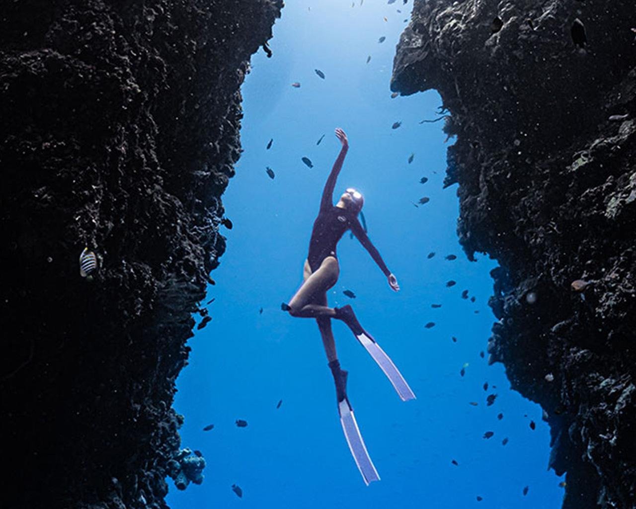 Panglao Napaling Reef Freediving & Sardine Run