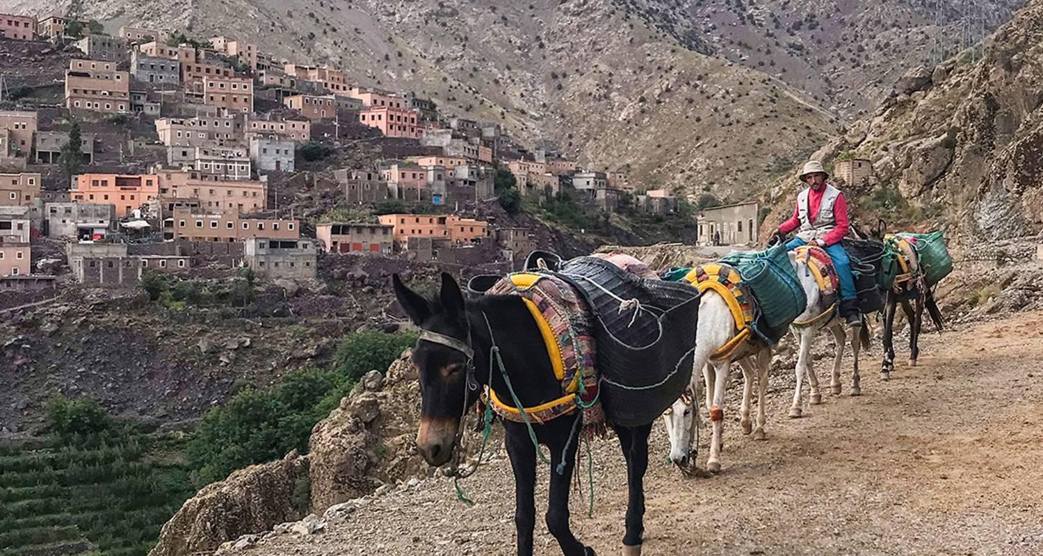 Atlas Mountains & Imlil Valley Day Trek with Mule Ride