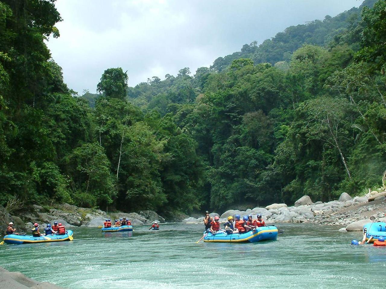 Reventazón River Rafting Adventure from San José or Arenal