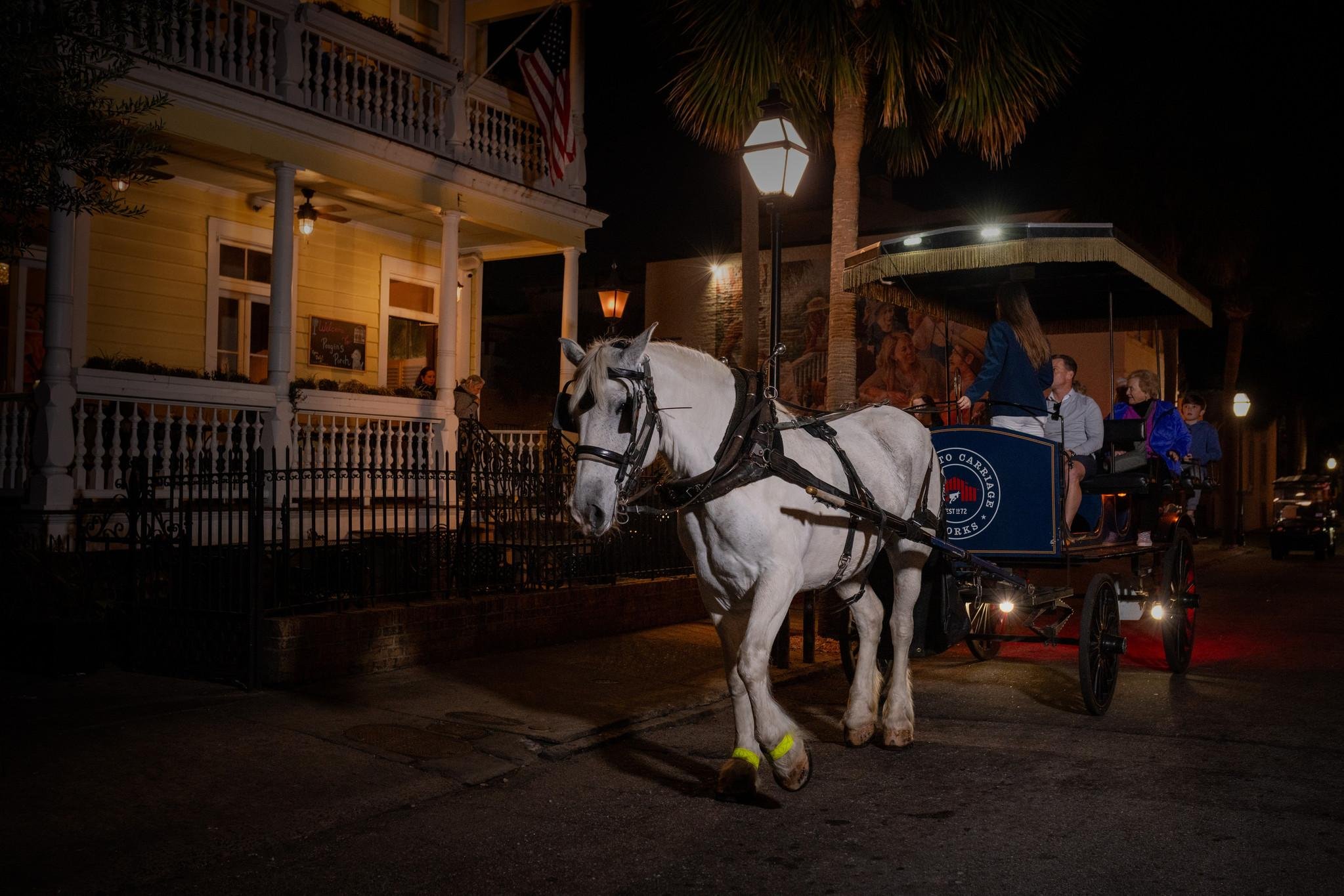Charleston Evening Ghost Carriage Tour