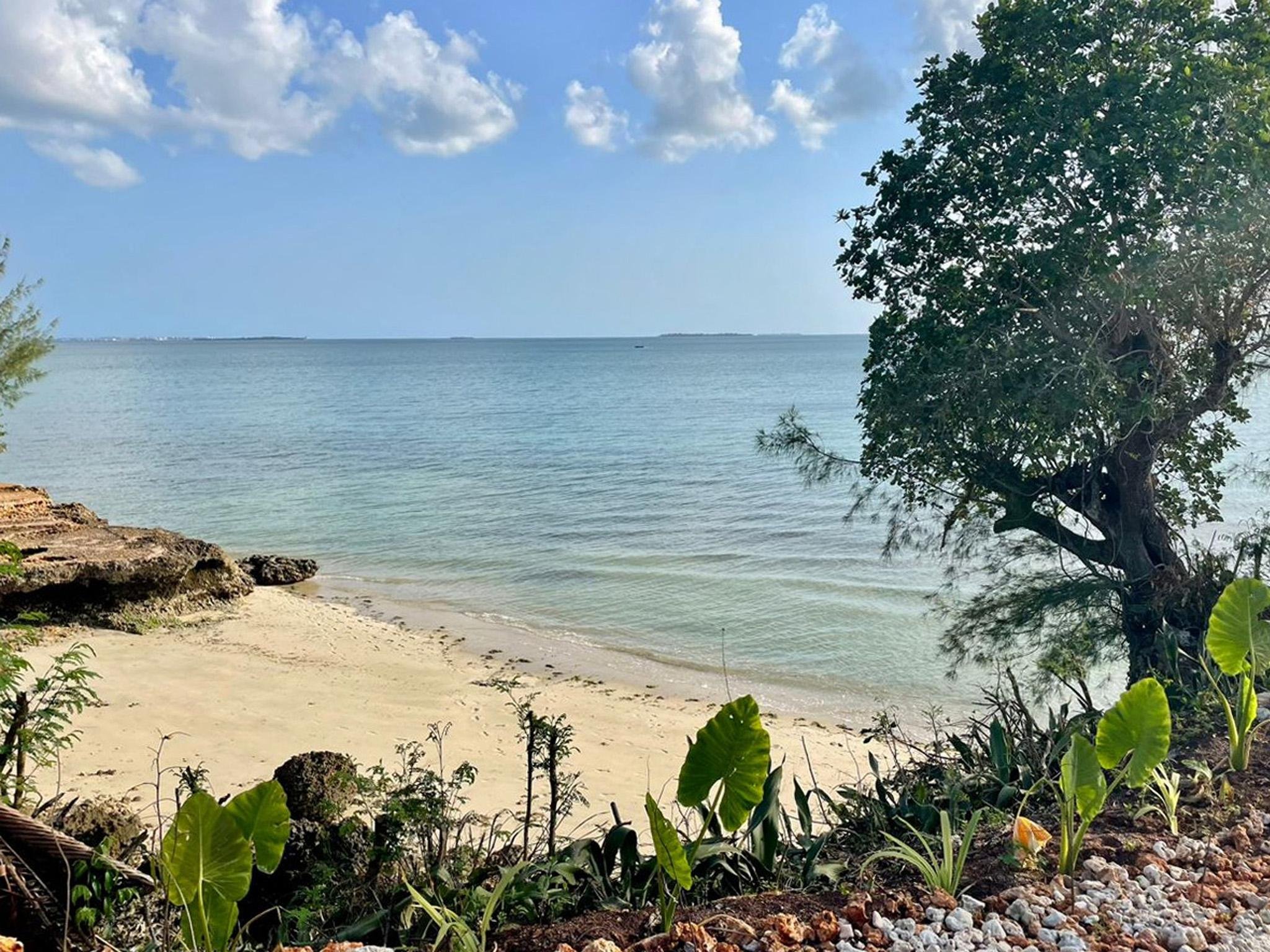 Zanzibar Swahili Spice & Culinary Experience