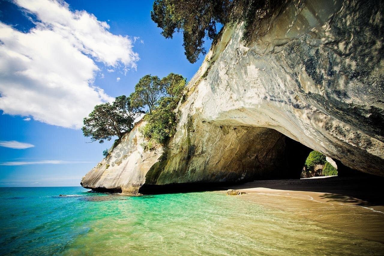 Coromandel Peninsula Day Trip: Cathedral Cove & Hot Water Beach