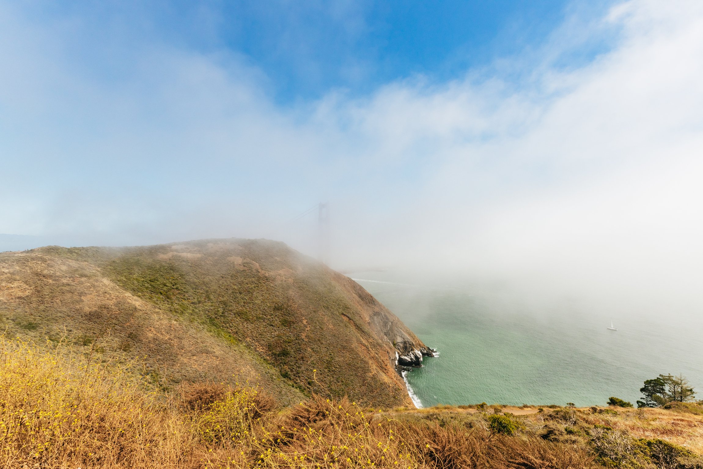 Excursion d'une journée en petit groupe à Muir Woods et Sausalito