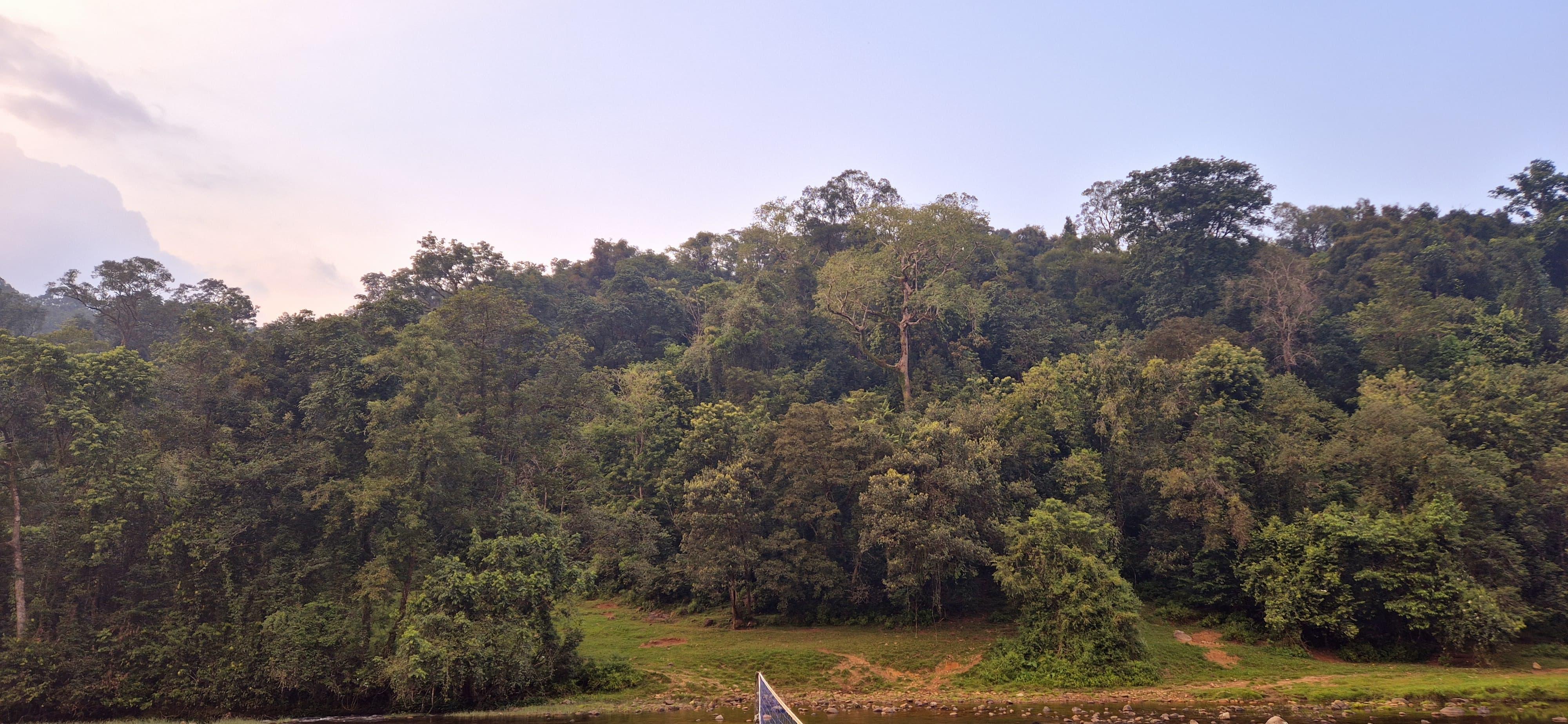 Munnar Wild Elephant Jeep Safari & Waterfall Tour