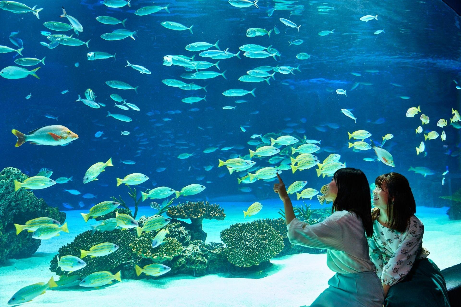 Tokyo: Sunshine Aquarium Admission Ticket