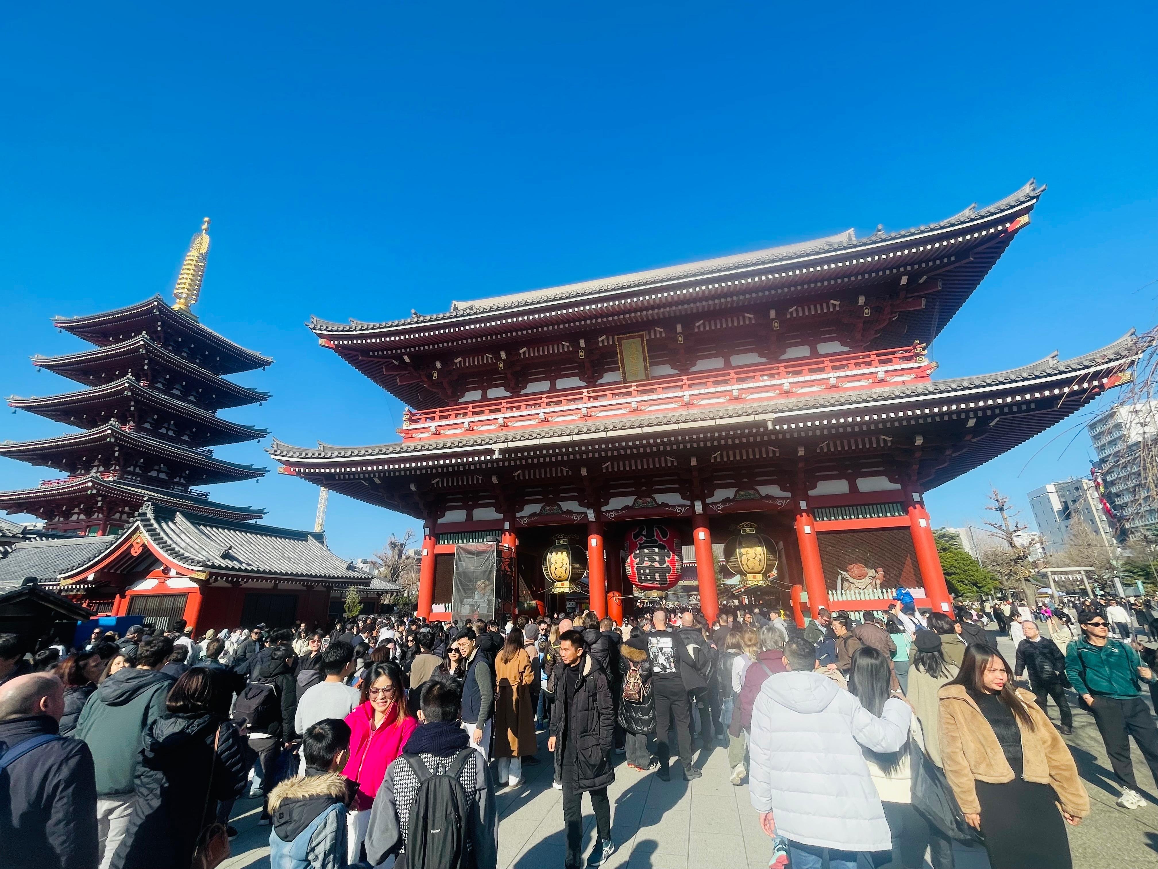 Tokyo Private Full-Day City Tour — Custom Itinerary with English Guide