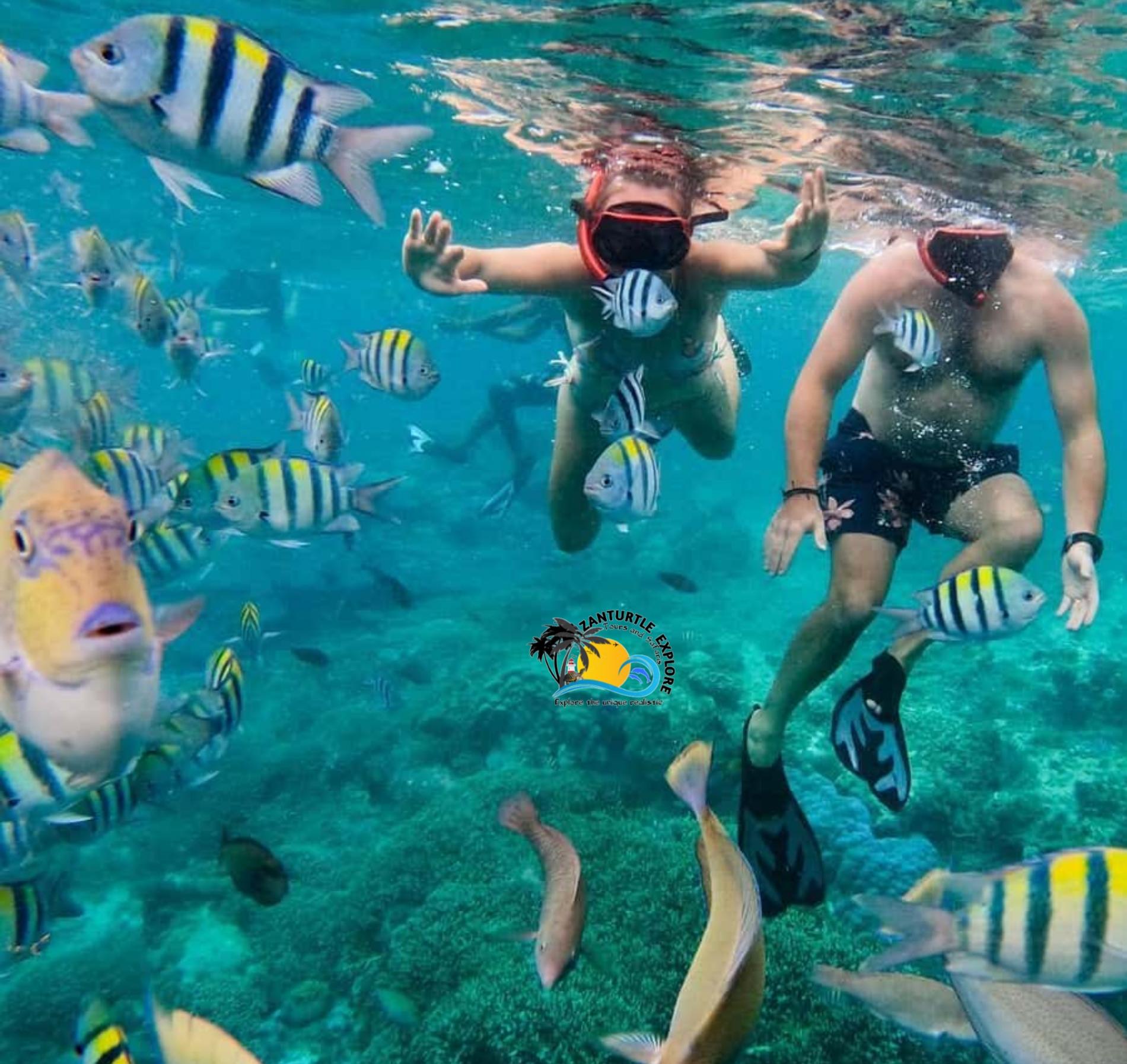 Private Zanzibar Blue Lagoon & Starfish Beach Excursion