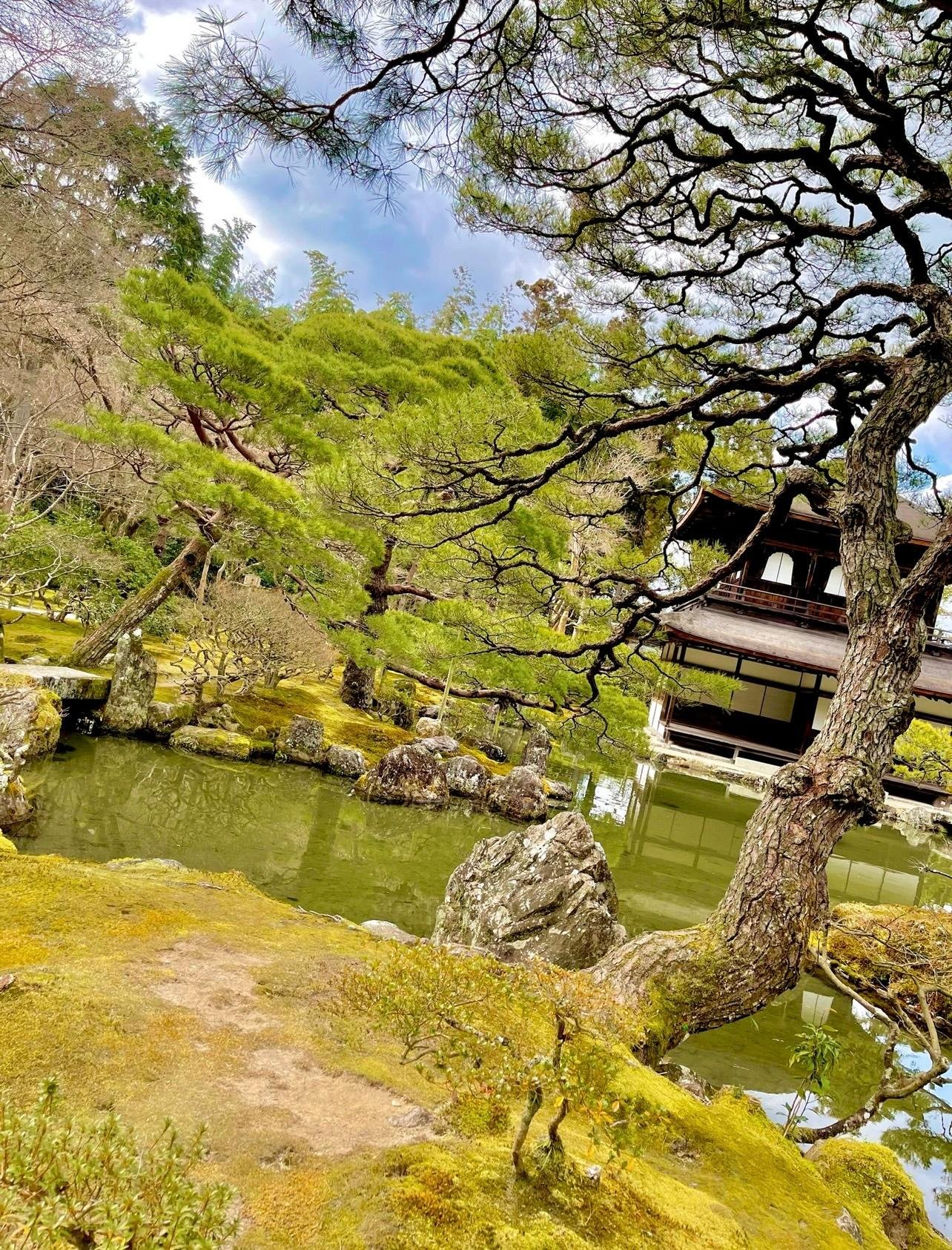 Japan 7-Day Guided Tour: Tokyo, Osaka, Kyoto & Hiroshima