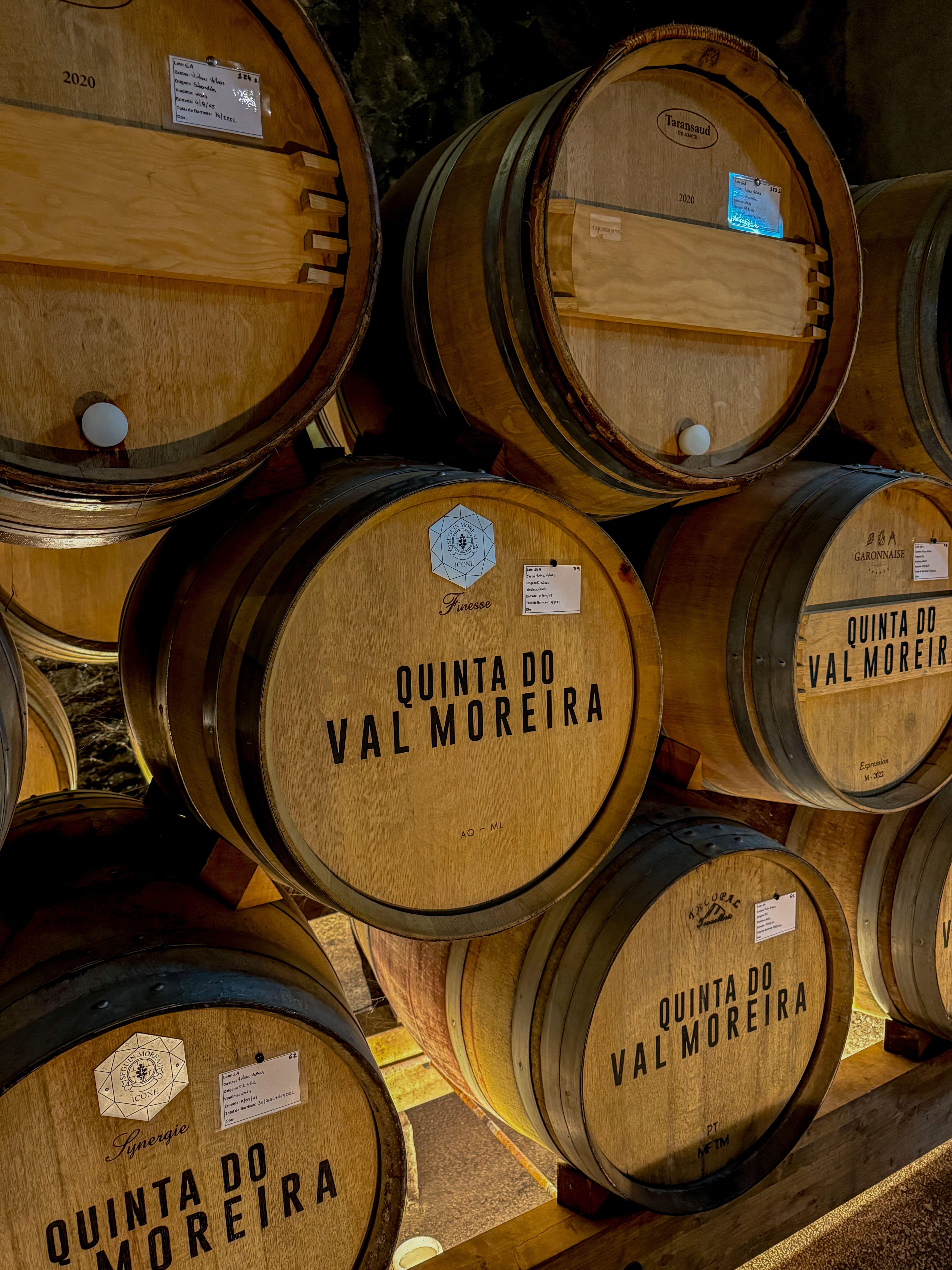 olive oil tasting in Porto — photo 3