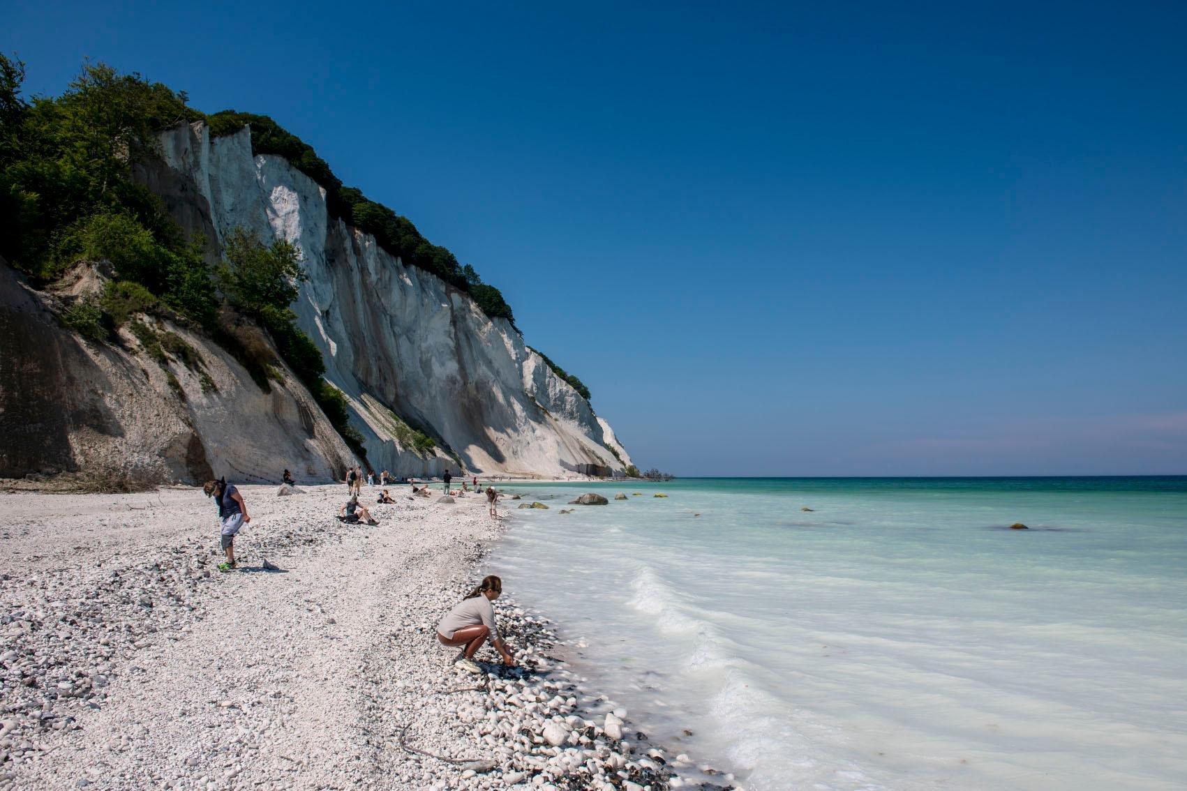 Møns Klint day trip from Copenhagen — image 9
