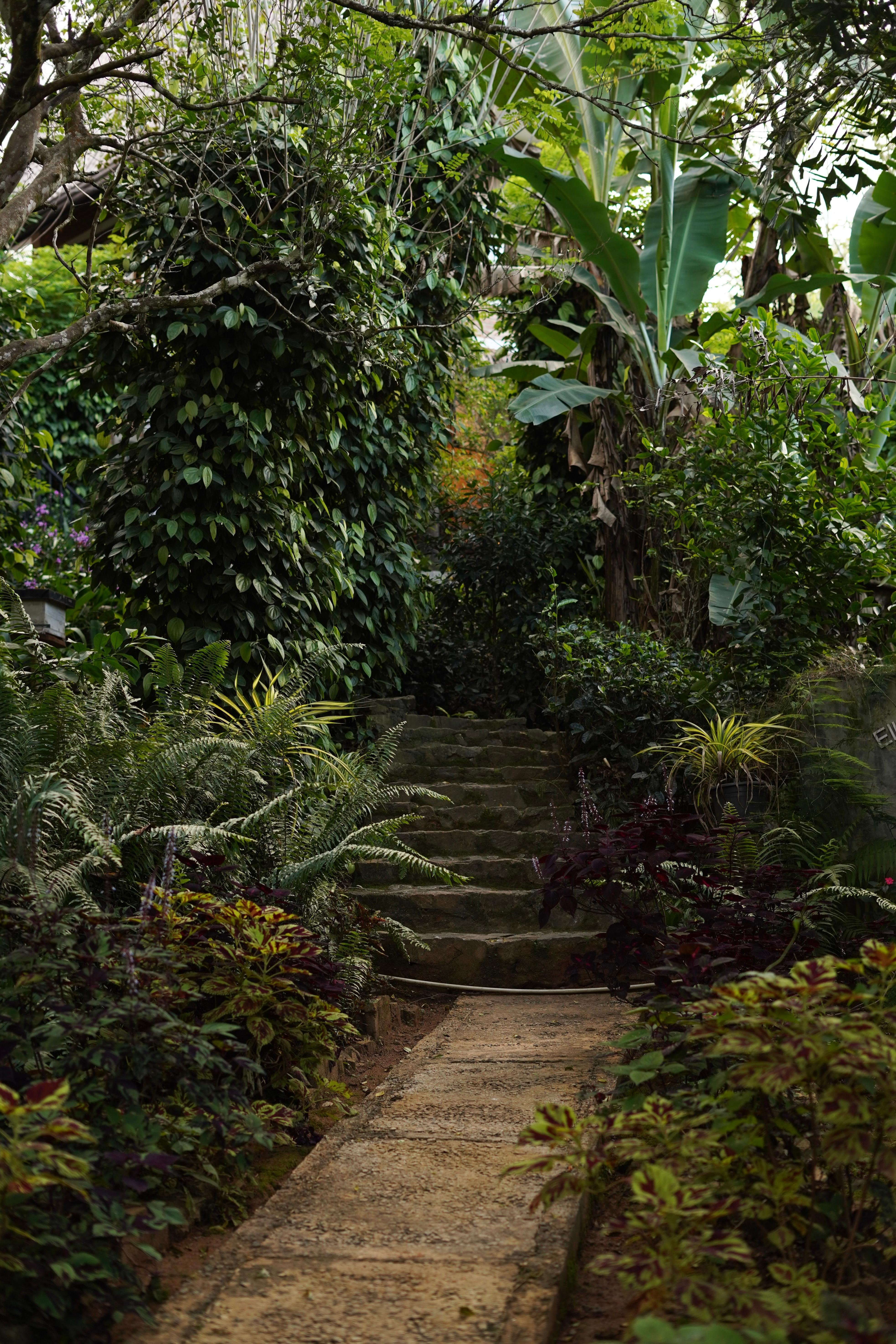 Ella Spice Garden Tour & Authentic Cooking Class