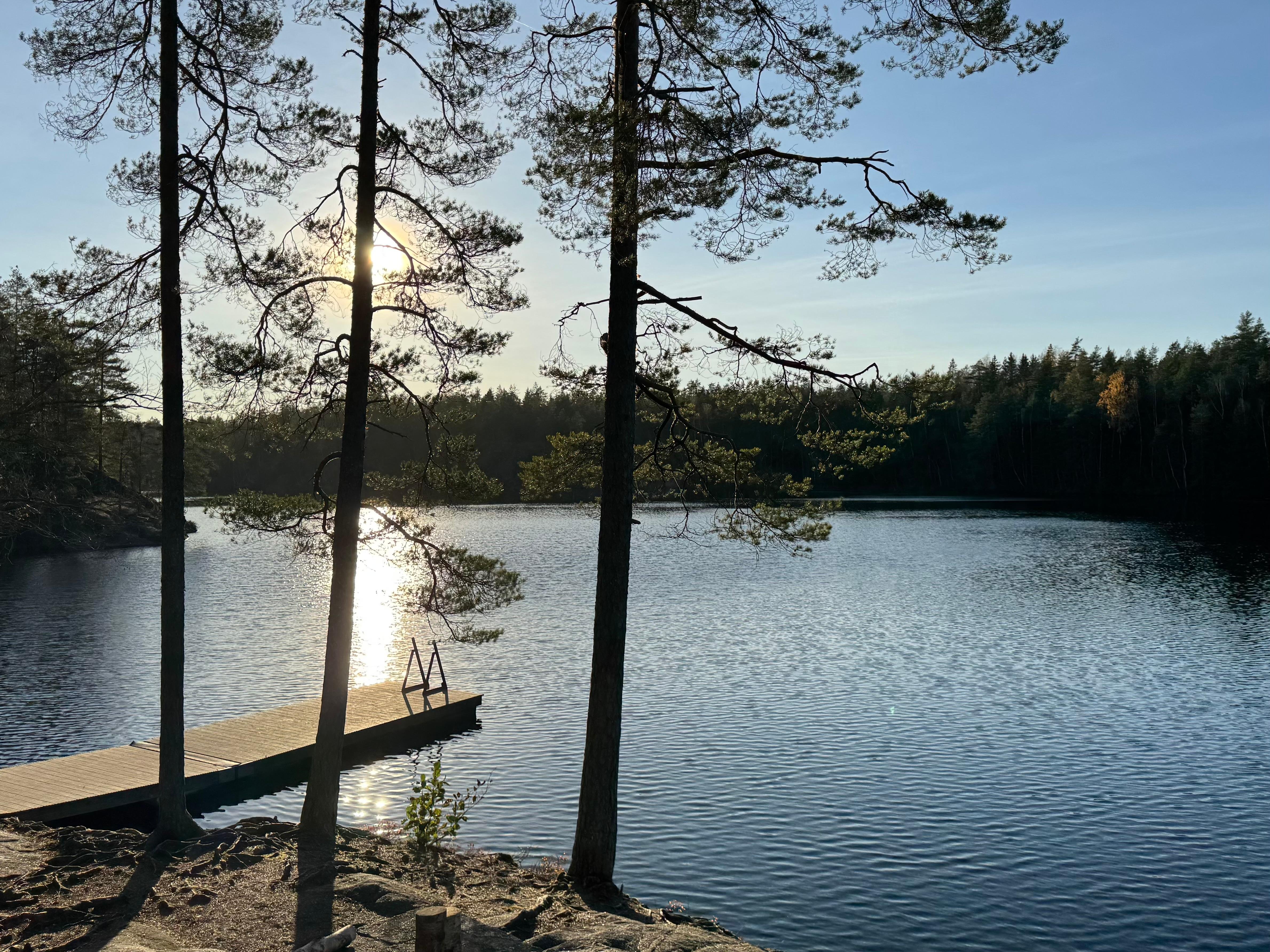 Nuuksio National Park Forest Hike with Fireside Meal