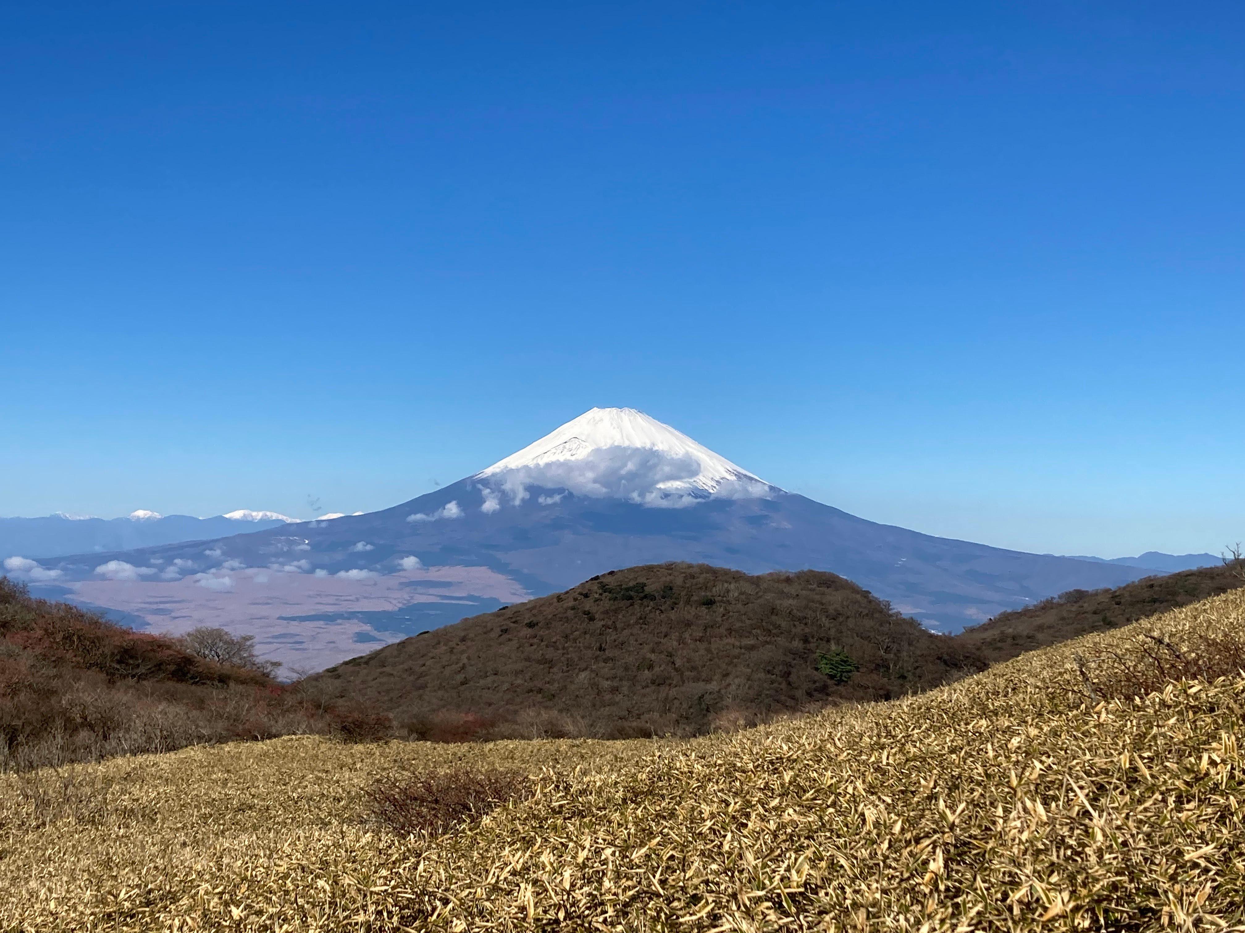 Hakone Private Bespoke Day Tour from Your Hotel