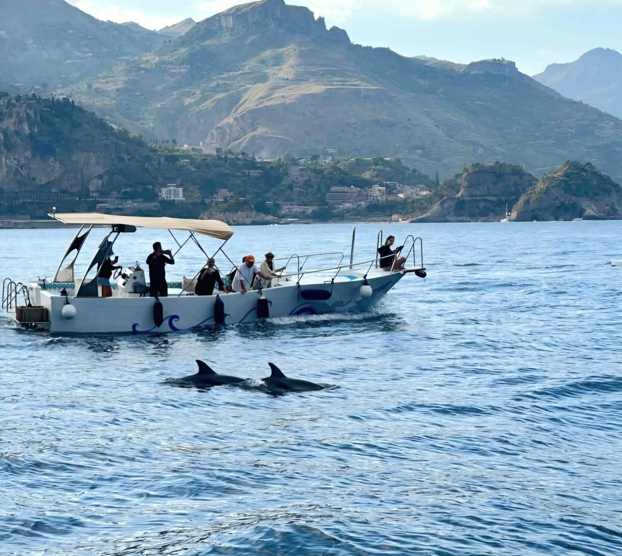 Sicilian Coast Sunset Sail with Dolphin Search & Apericena