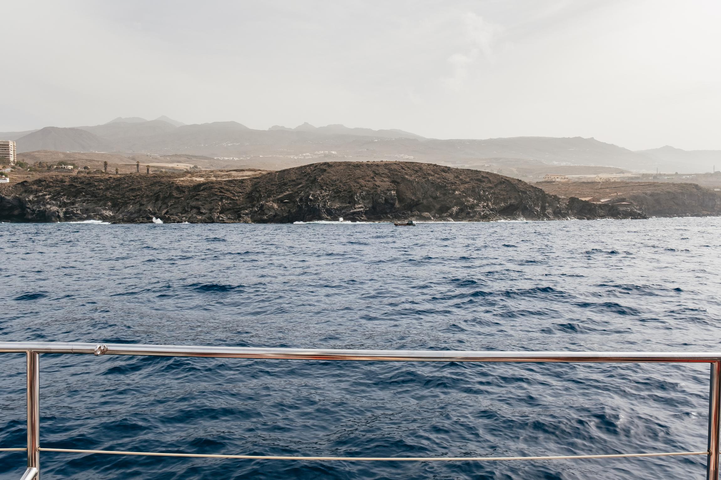 Eco-Friendly Whale & Dolphin Catamaran Cruise in Costa Adeje