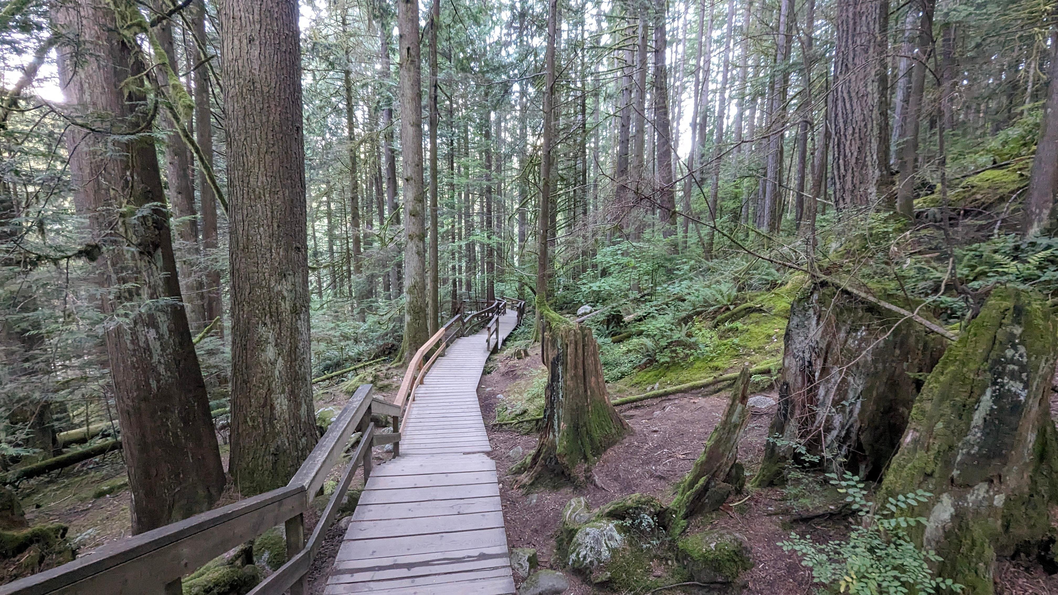 Vancouver North Shore & Capilano Canyon Lights Explorer