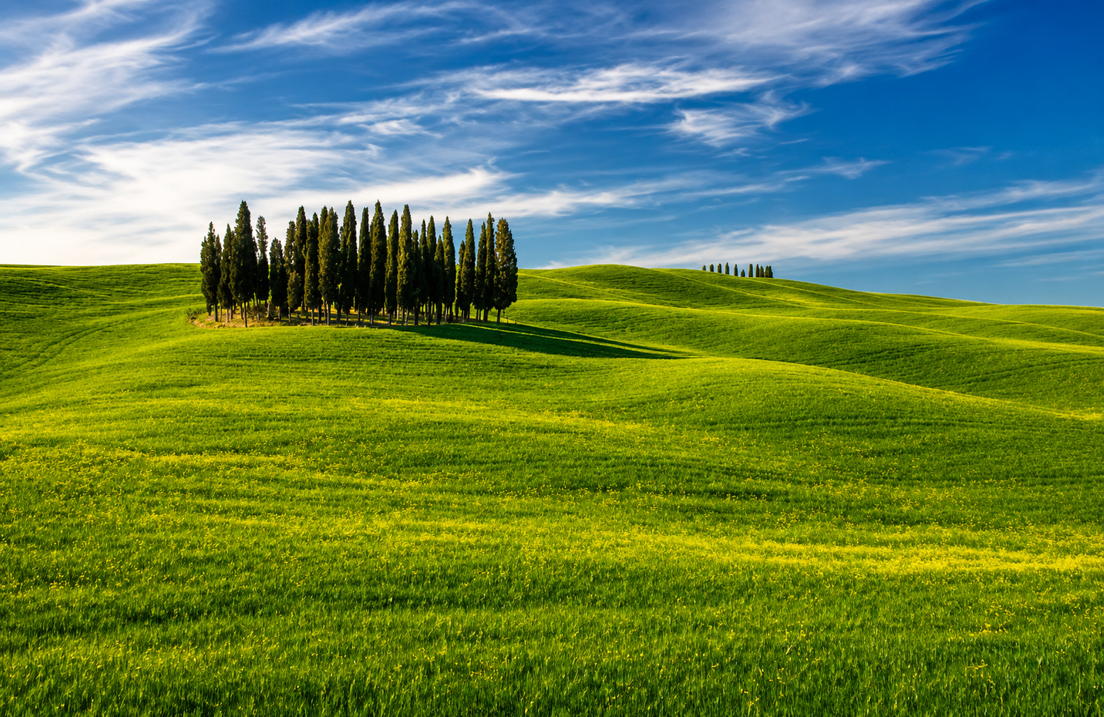 Brunello Wine Experience from Siena