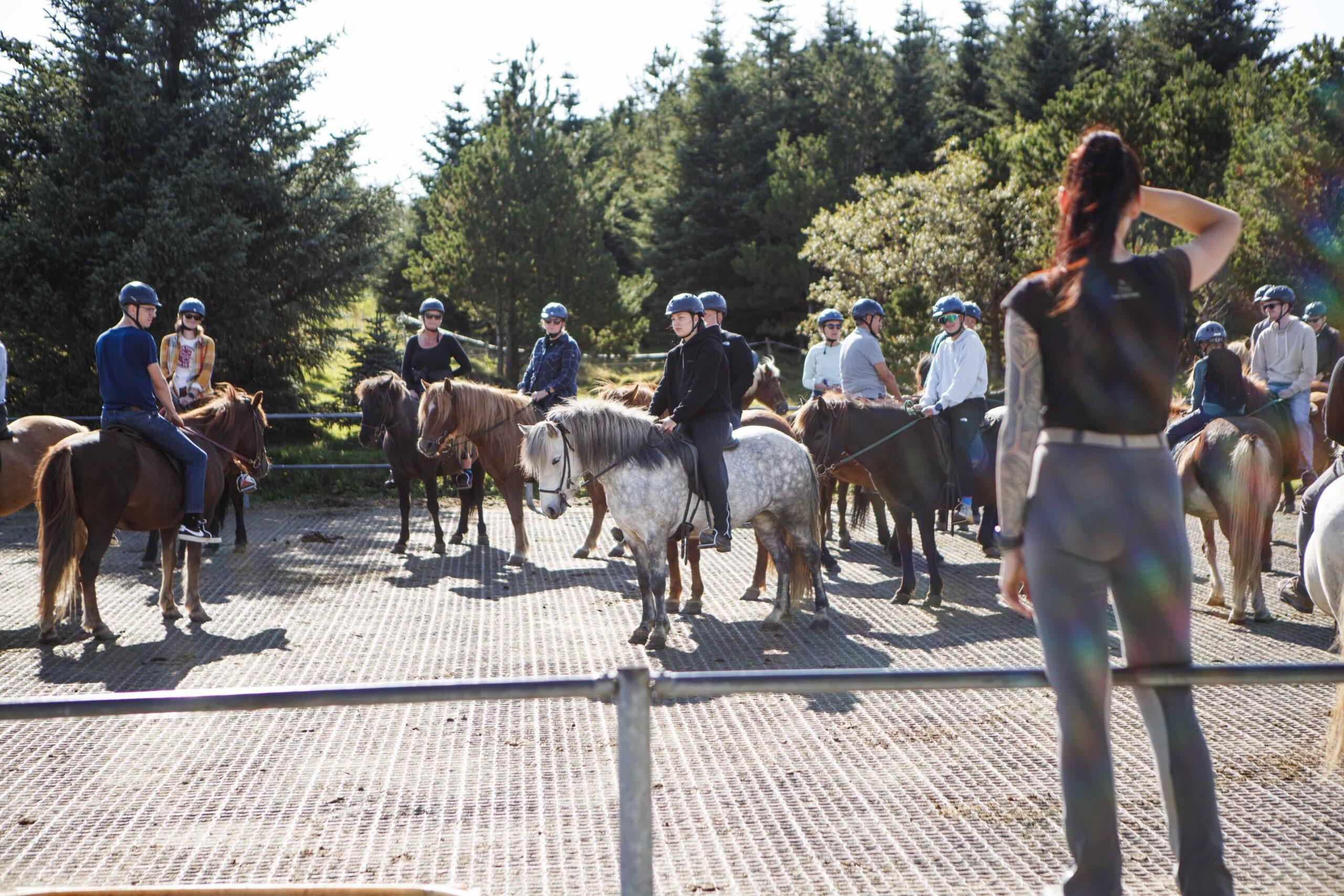 Icelandic Horse Riding Adventure from Reykjavík