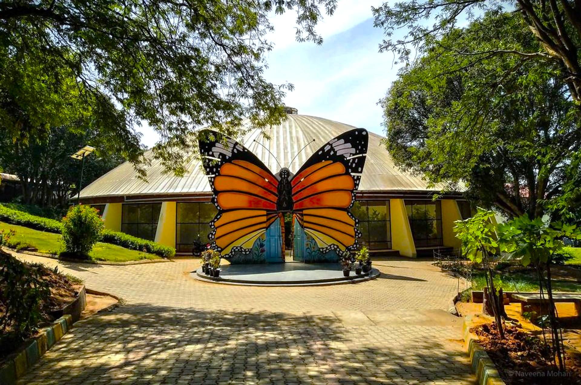 Bannerghatta Wildlife & Bangalore Heritage Private Tour