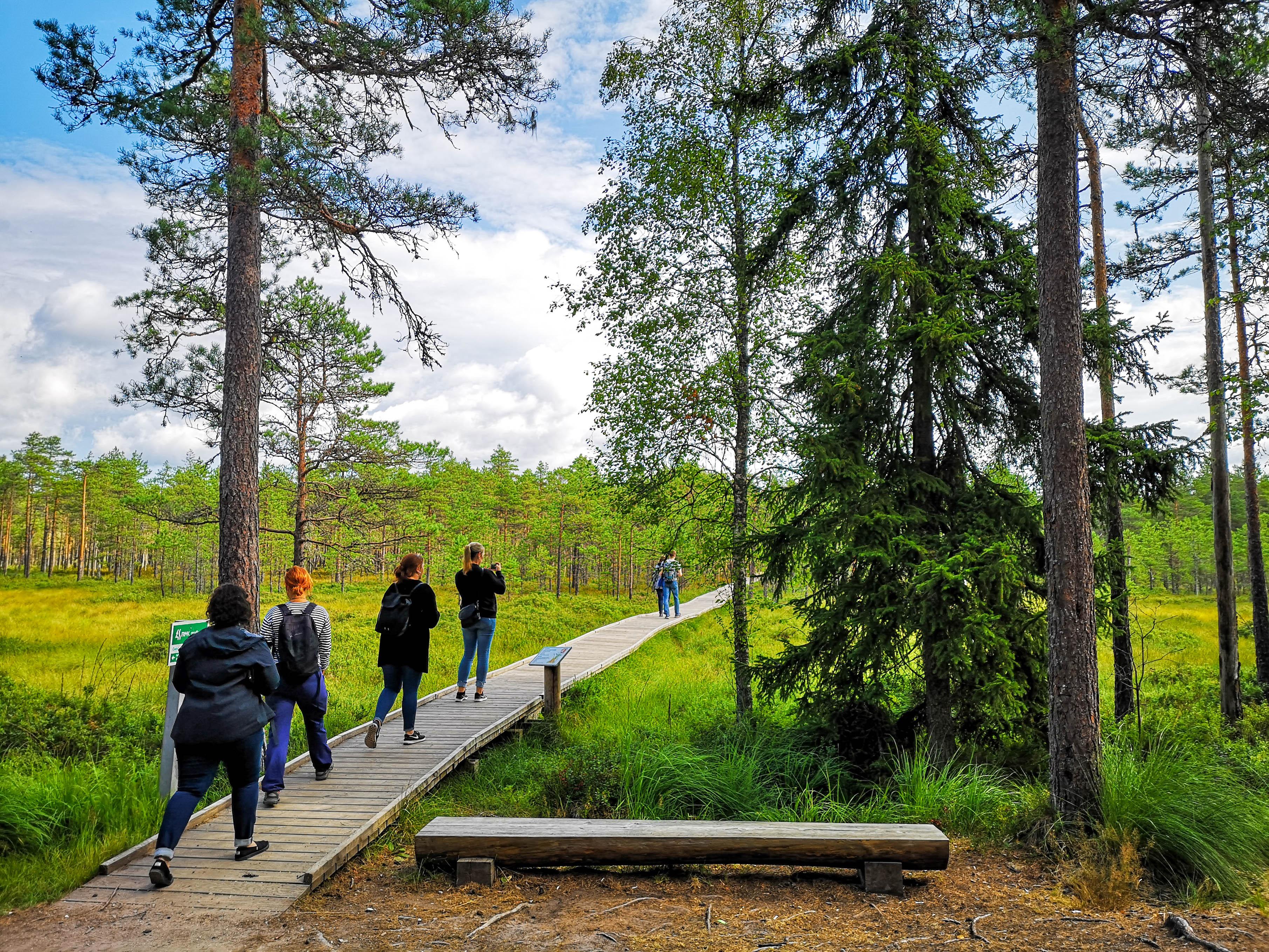 From Tallinn: Jägala Waterfall and Bog Walk Tour