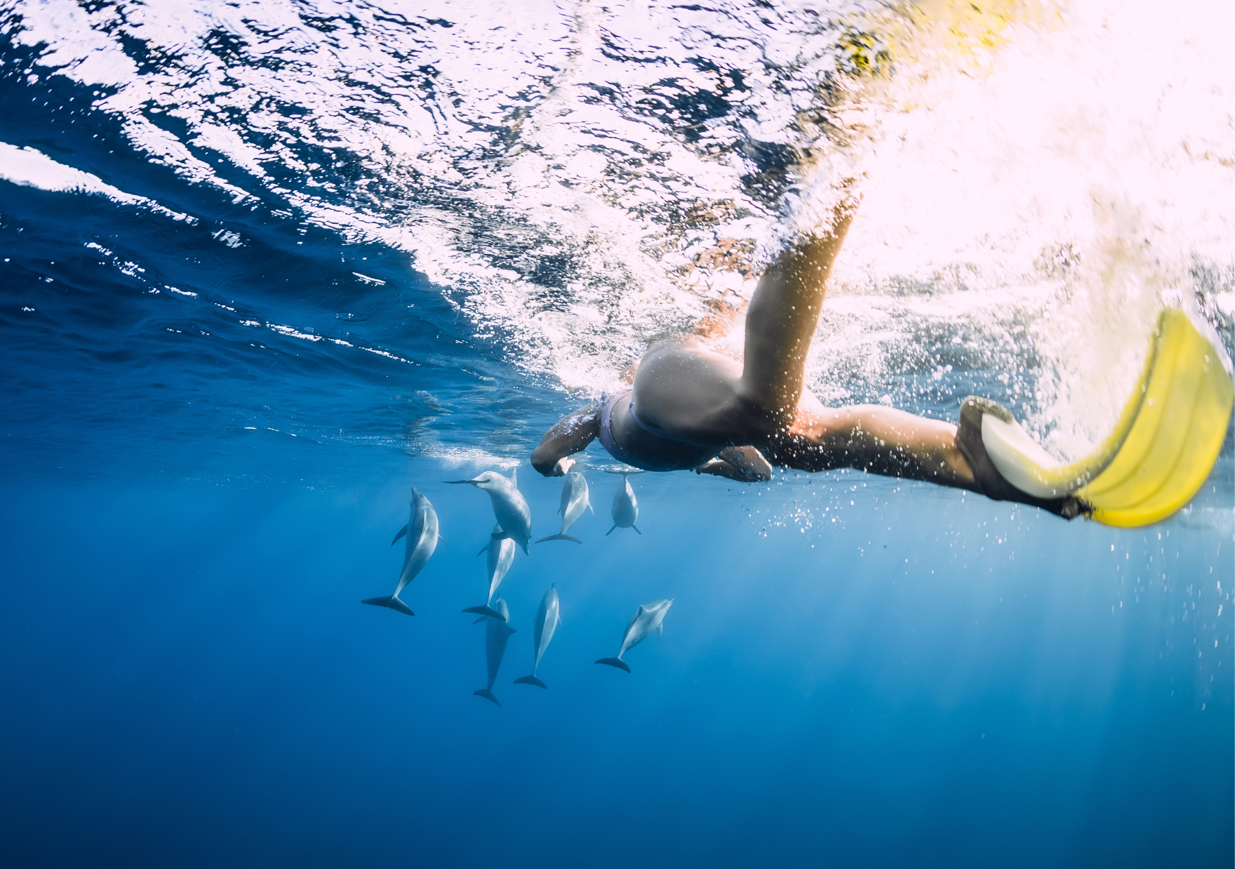 Tamarin Speedboat Tour: Dolphins, Crystal Rock & Benitiers Island
