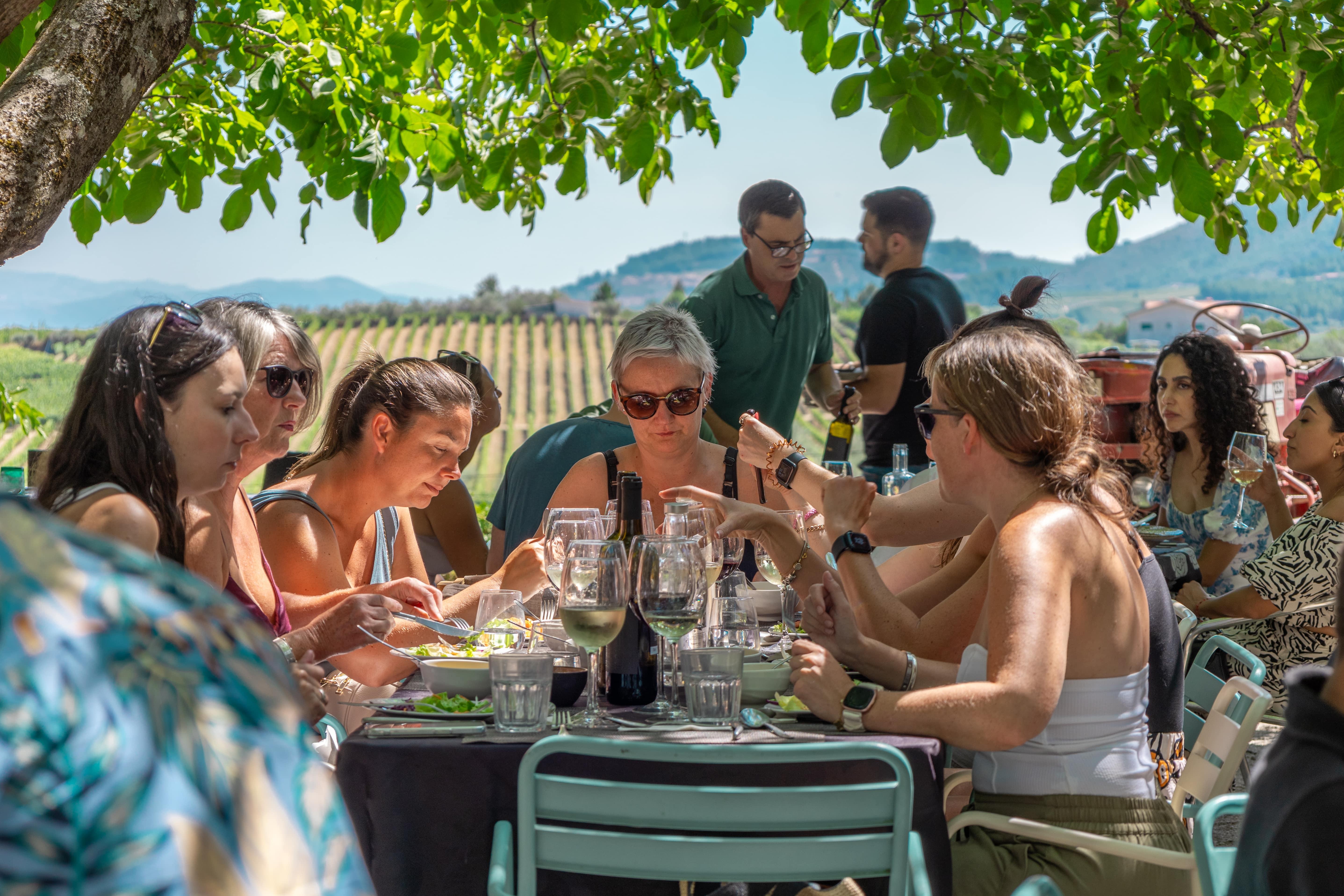 Douro Valley Wine Tour with River Cruise from Porto