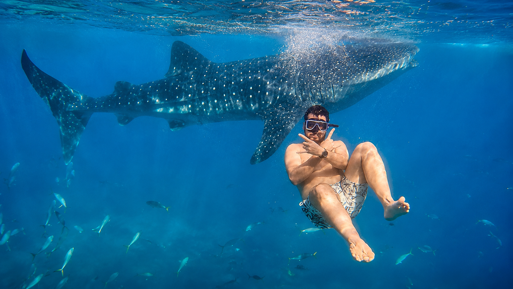 Ocean Trilogy: Whale Sharks, Sumilon & Pescador Island