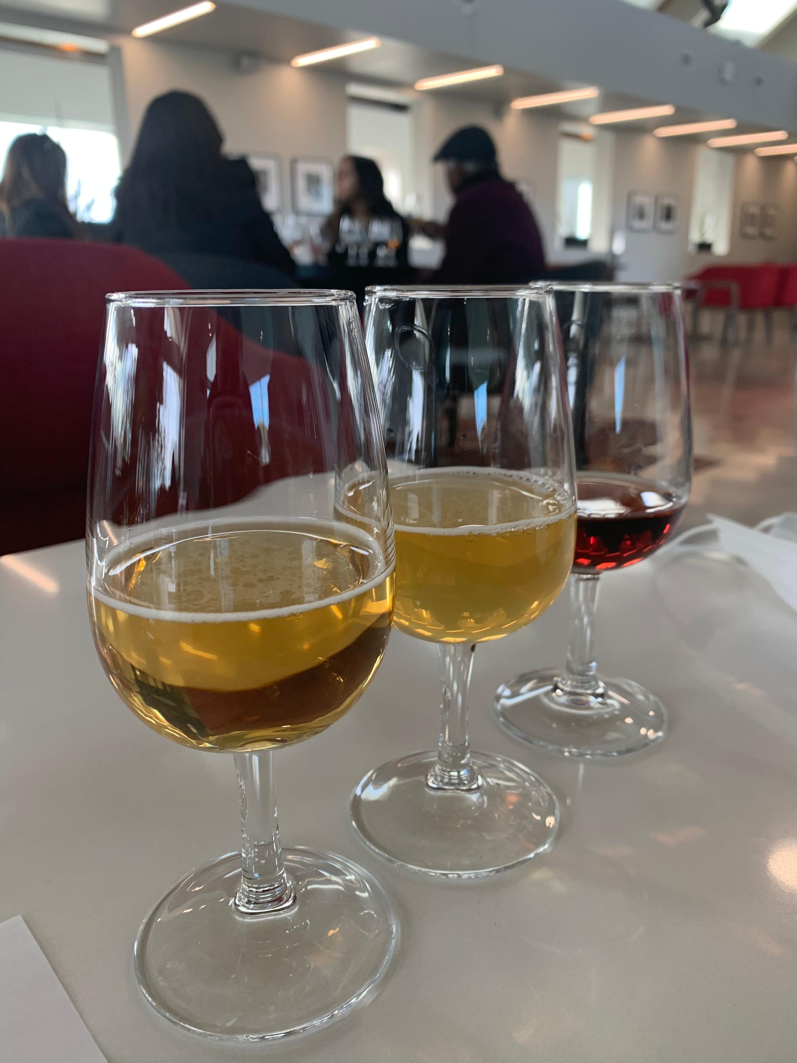 Relaxing Lunch & Wine Tour through Niagara's Wine Country