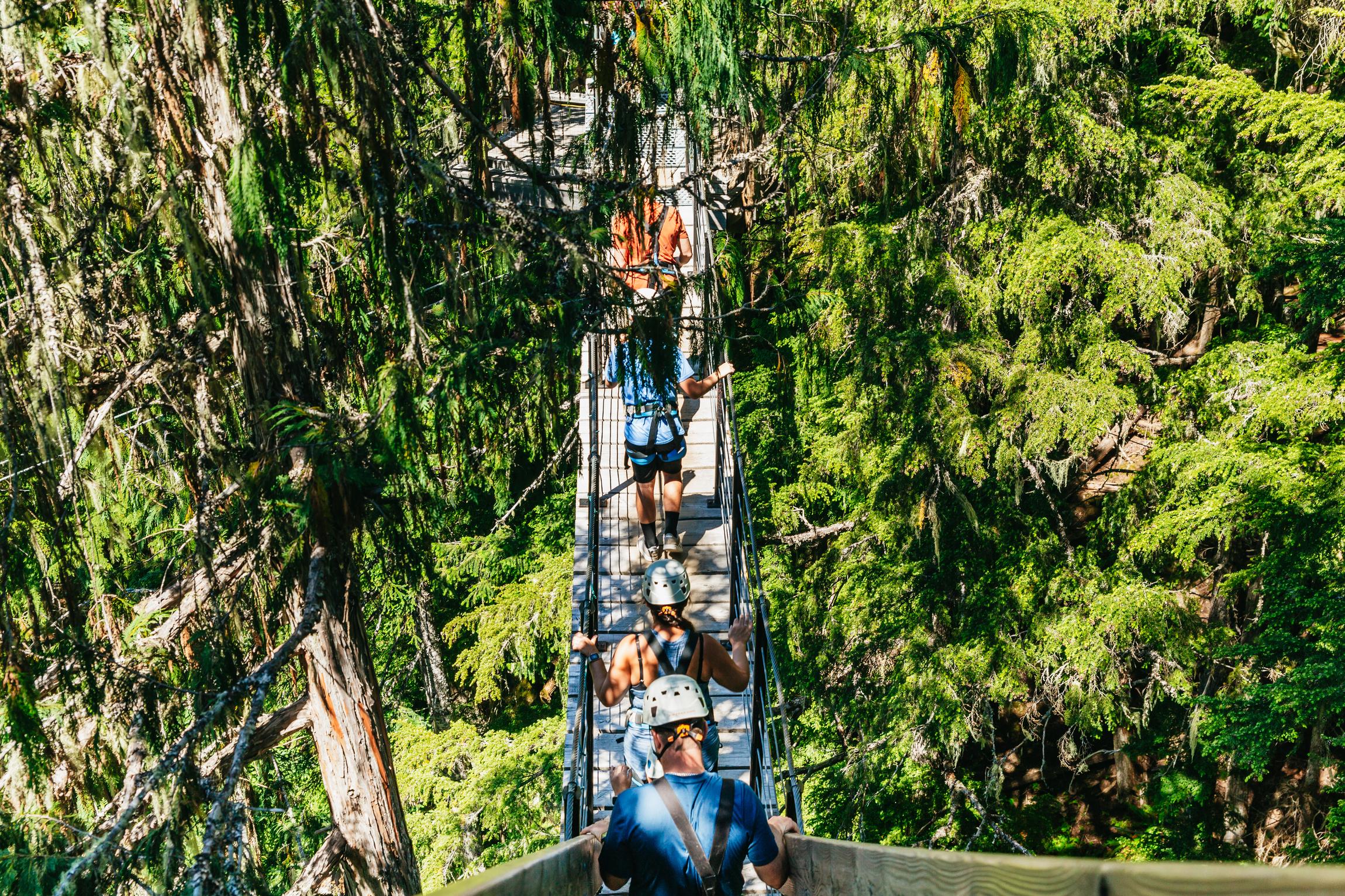 Whistler zipline experience with Ziptrek — flying across the Fitzsimmons Valley, British Columbia — image 6