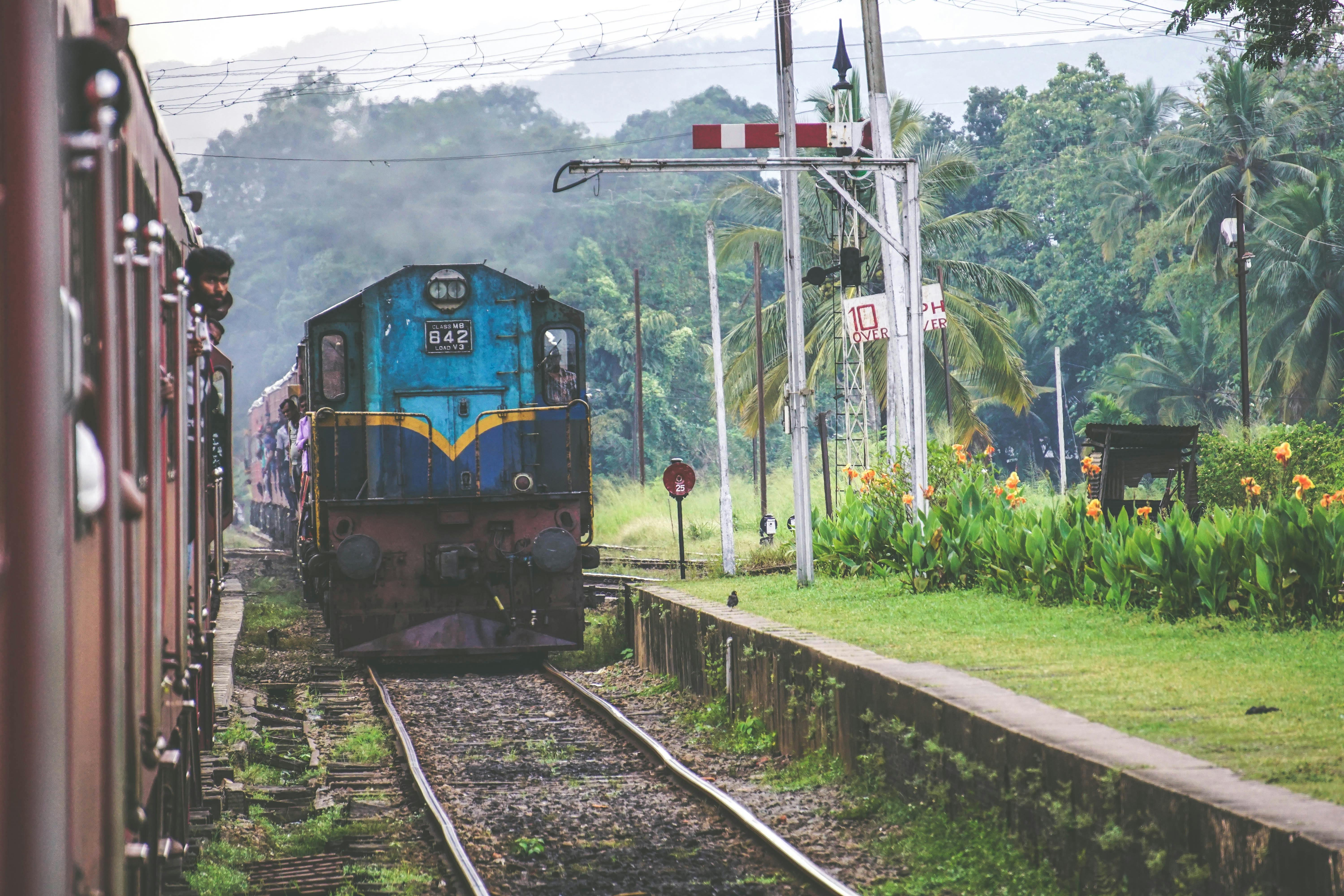 Sri Lanka: Private Guided Scenic Train Journey to Galle or Kandy