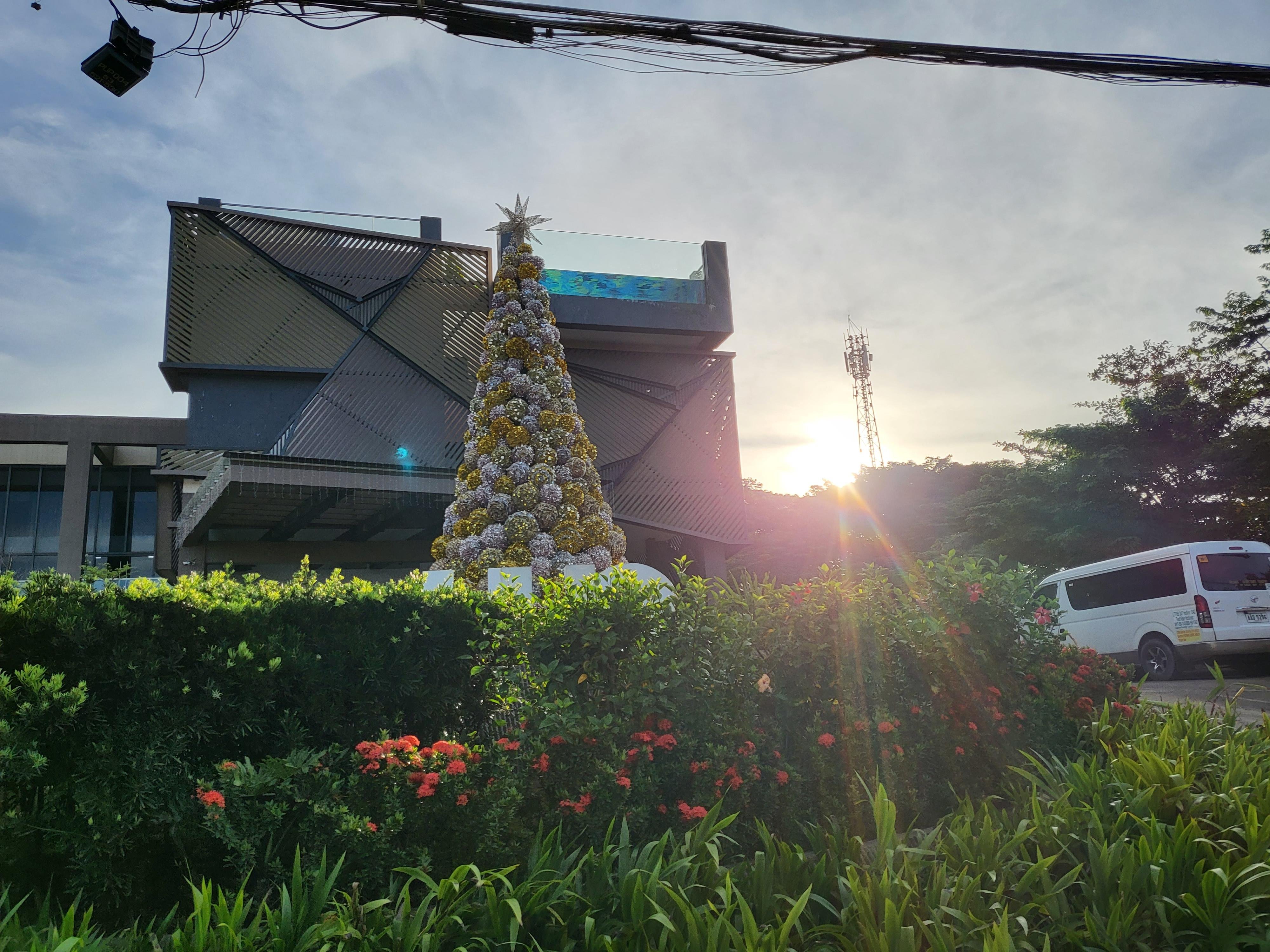 Private Van Transfer: El Nido to Puerto Princesa