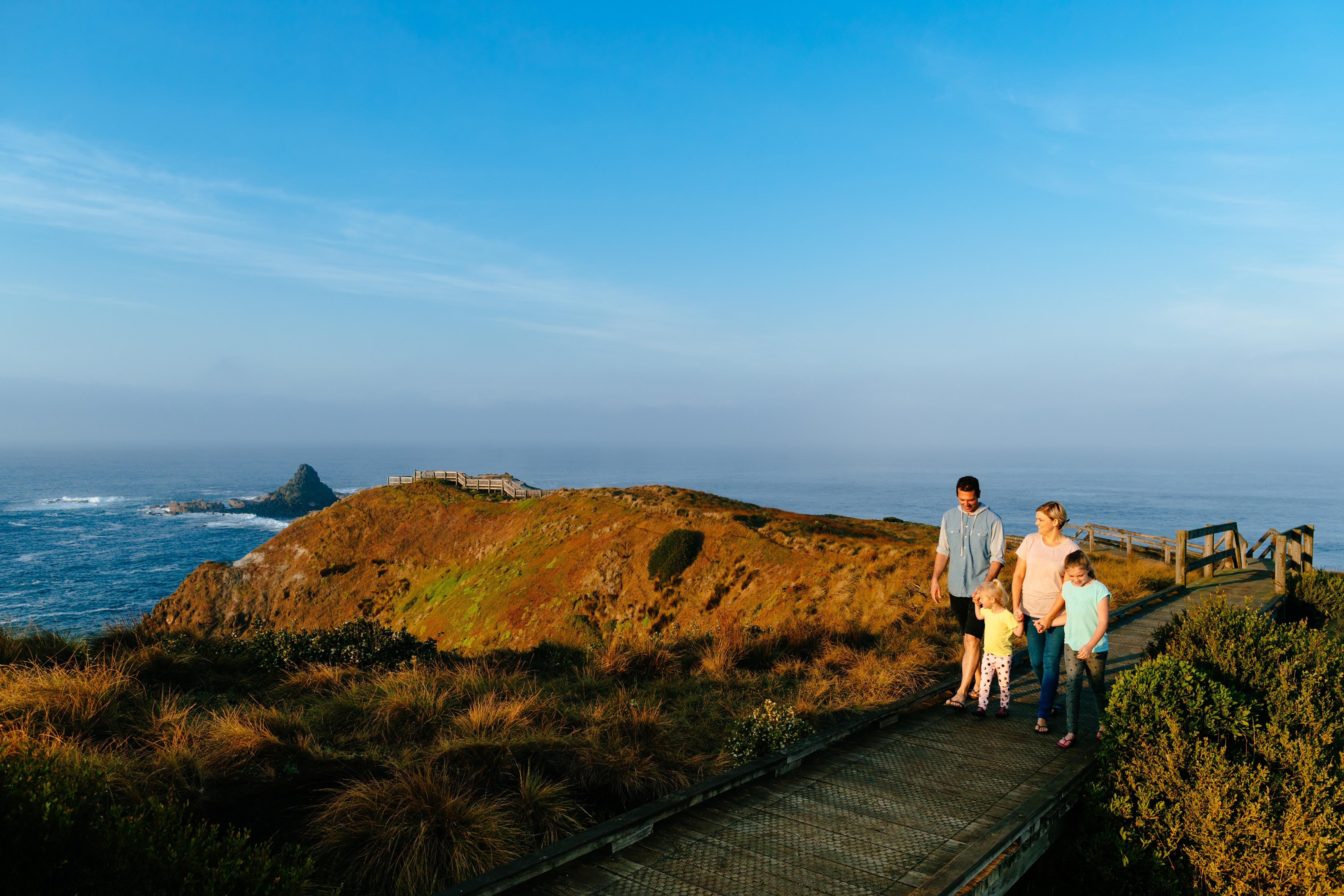 Phillip Island Penguin Parade & Koala Wildlife Tour