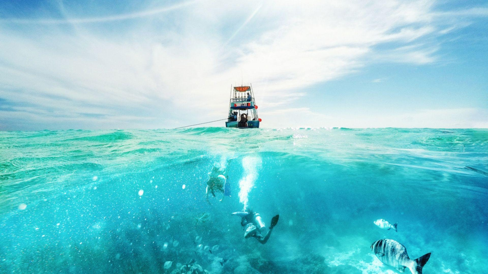 Cozumel Snorkeling Adventure with Lunch from Playa del Carmen