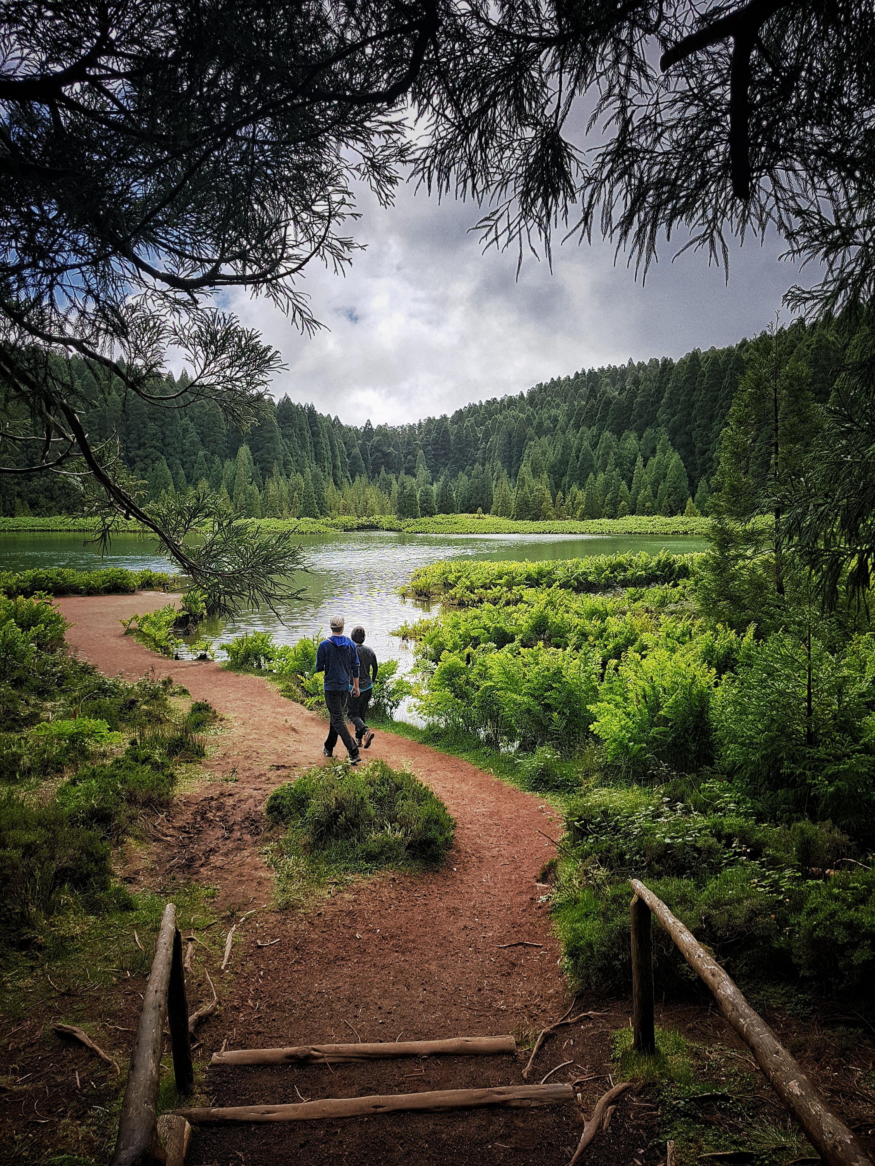 São Miguel: Sete Cidades and Crater Lakes Hike