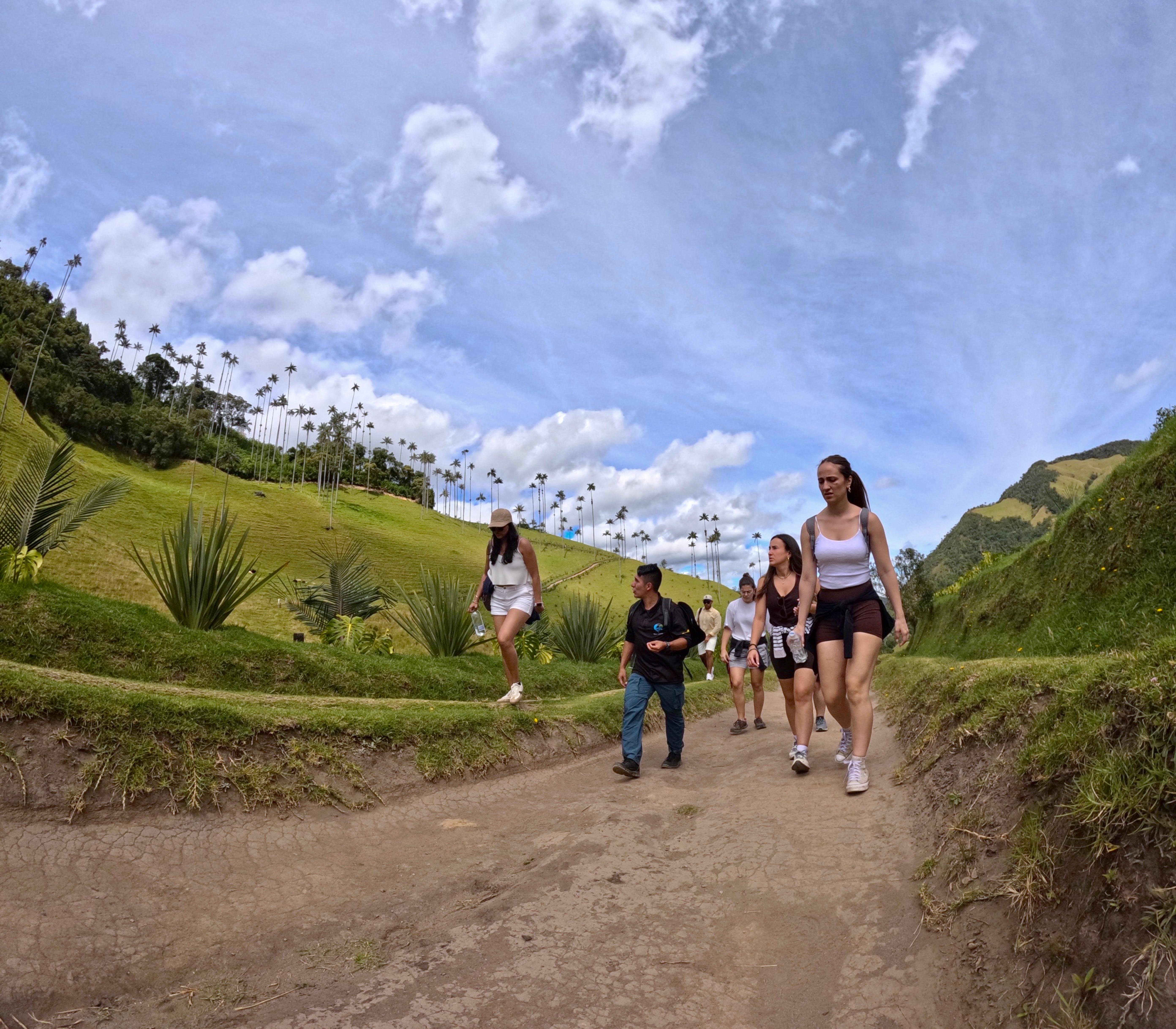 Cocora Valley Hike & Salento Explorer Tour