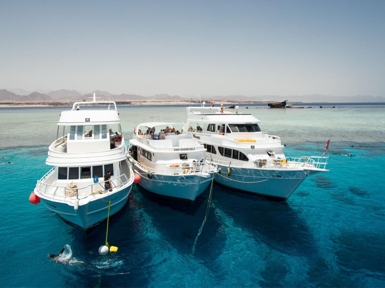 Tiran Island Snorkel & Dive Cruise from Sharm El-Sheikh with Buffet Lunch