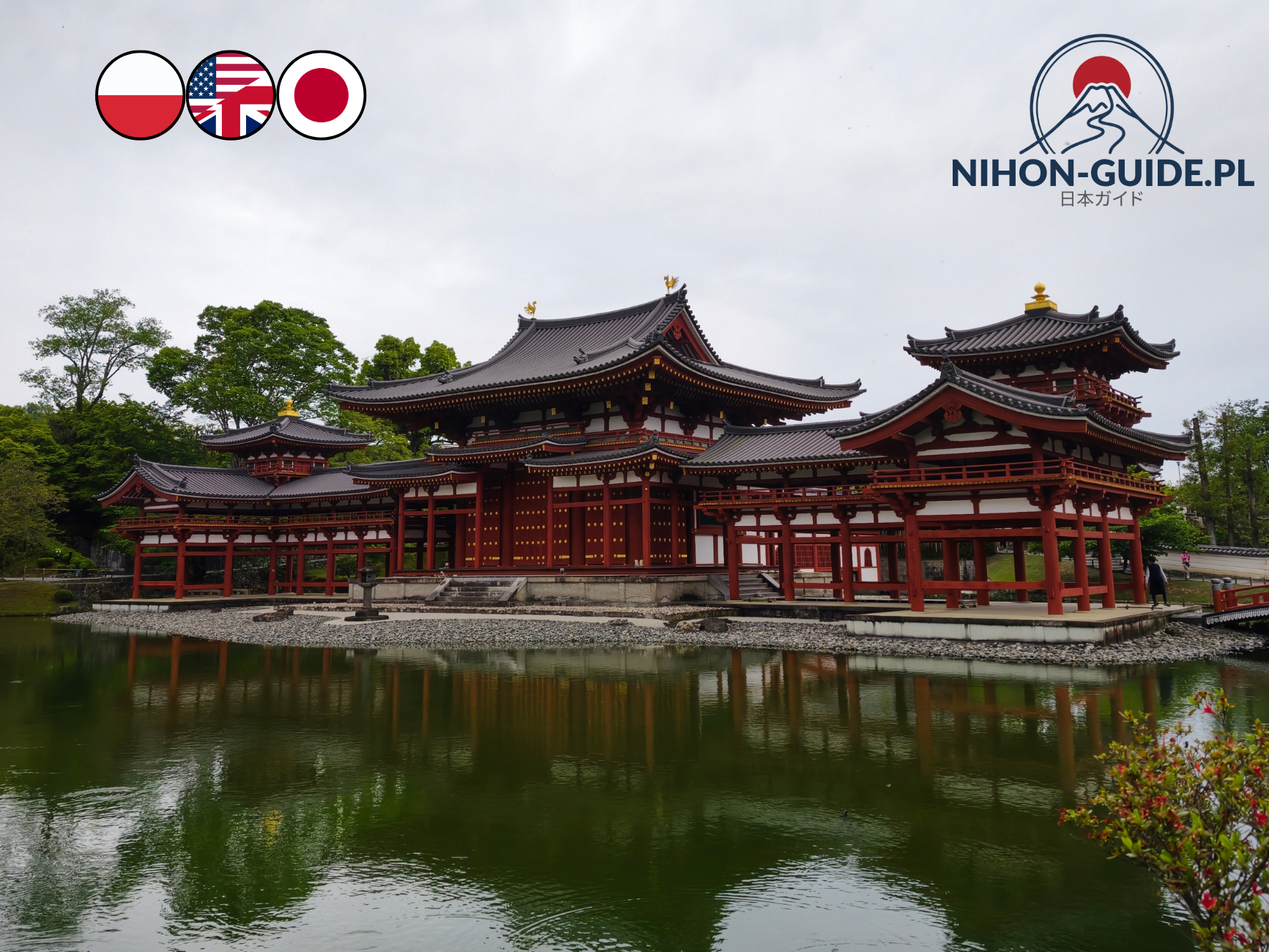 Uji Matcha Tea Ceremony, Tea Museum & Byodo-in Temple Tour