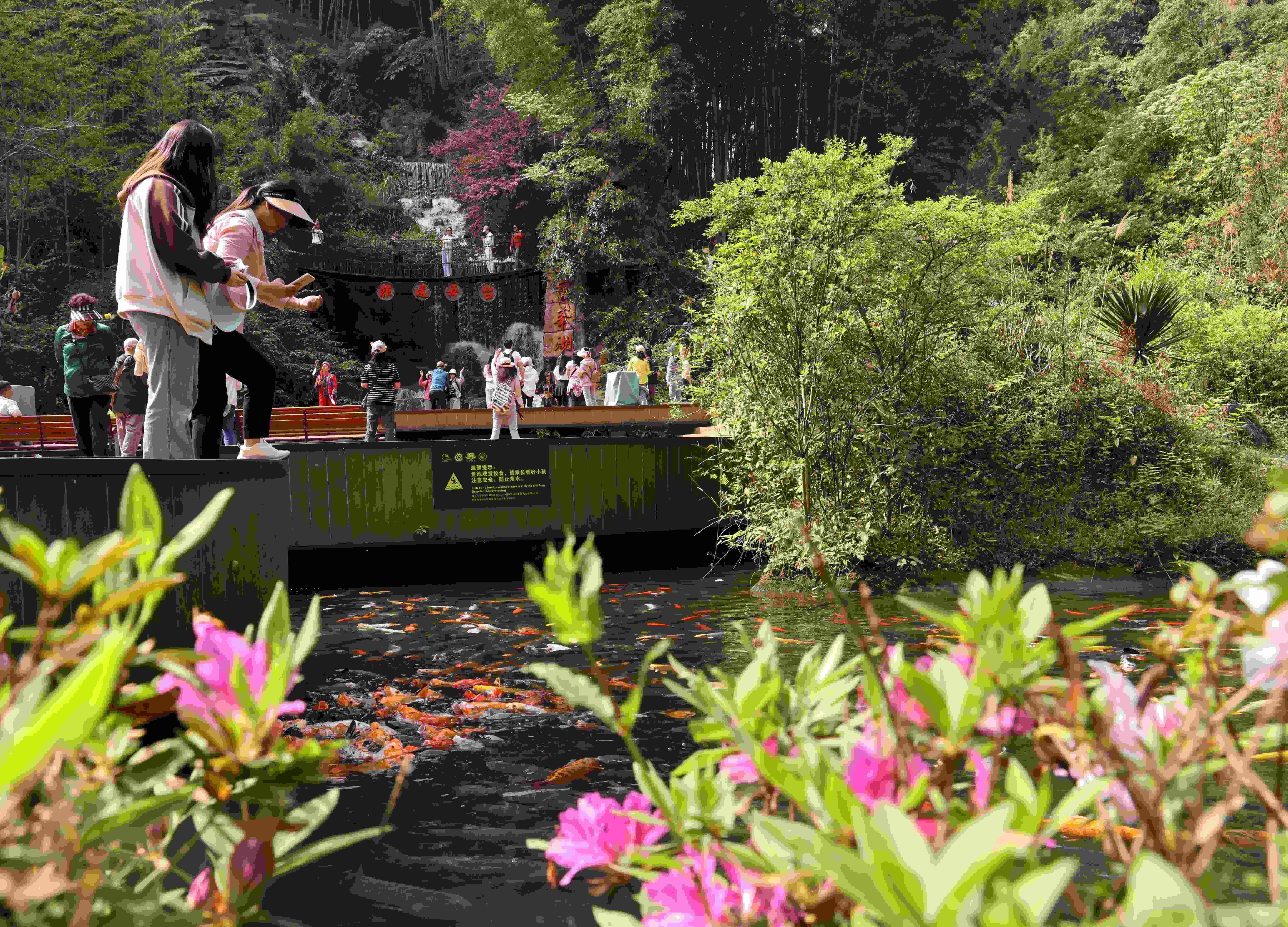 Zhangjiajie: Baofeng Lake Cruise, Forest Park & Valley Train Experience