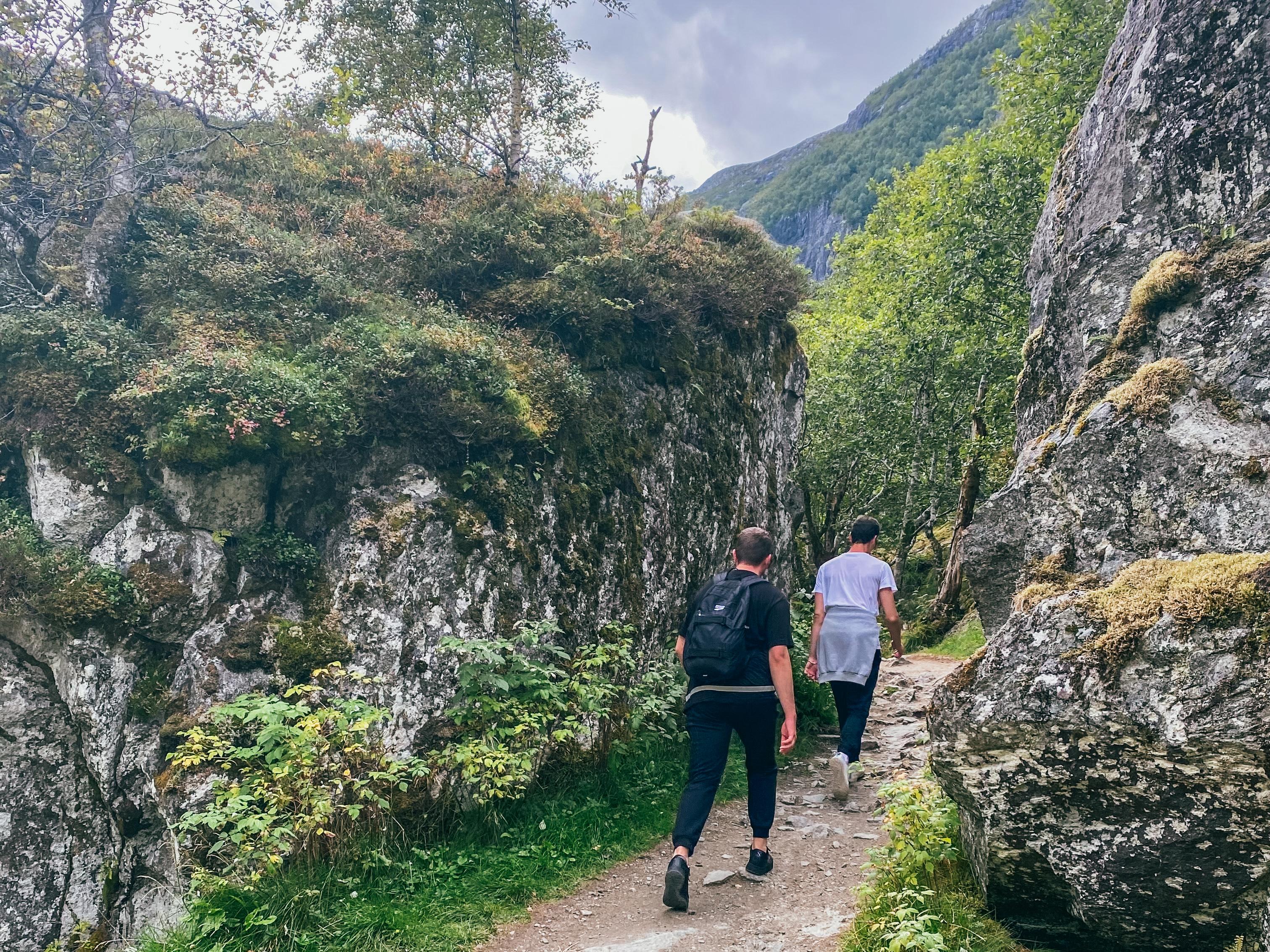 Bergen: Folgefonna National Park & Glacier Lake Tour & Lunch - 2026 (Verified Reviews)