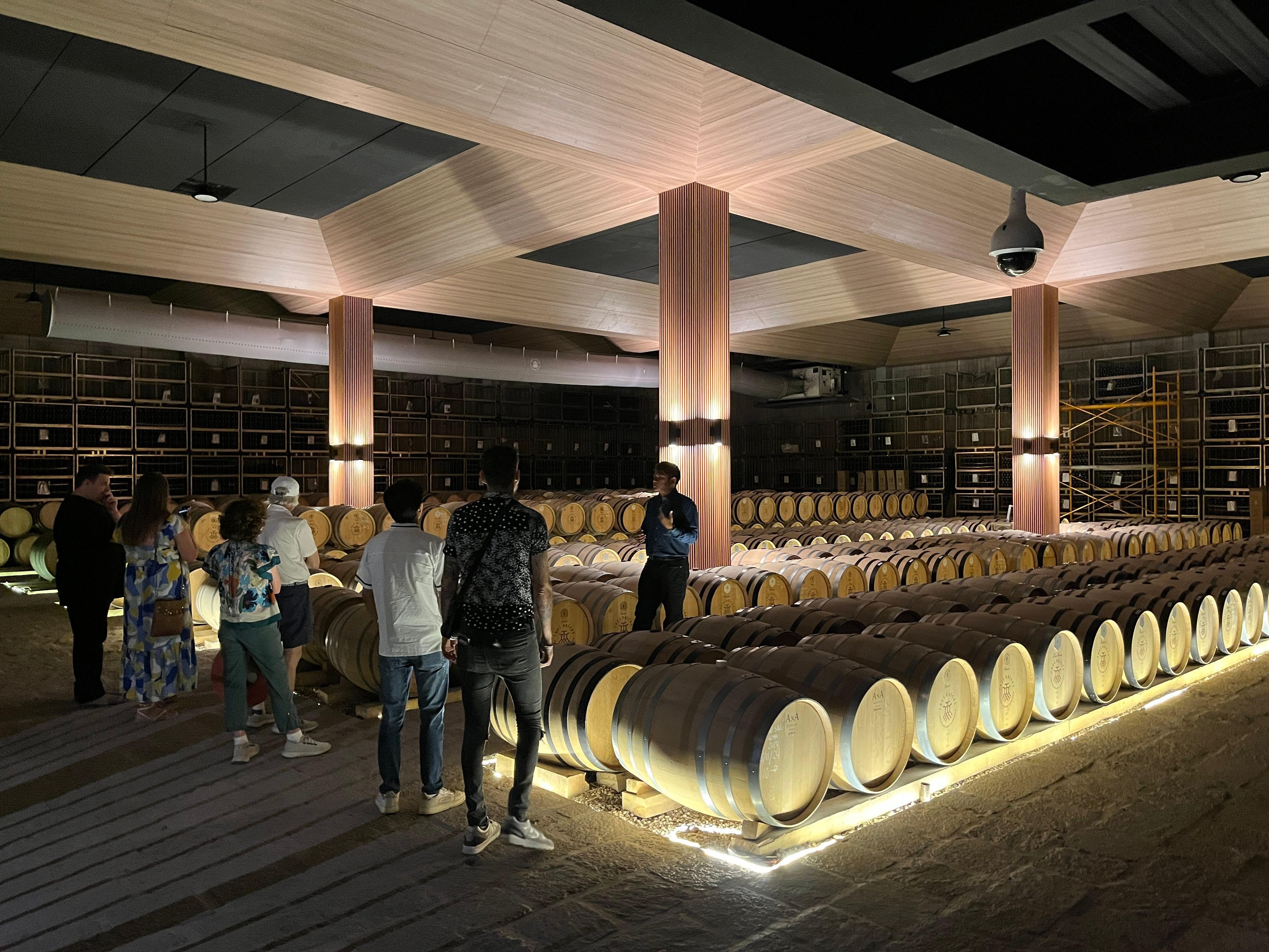 wine tour in San Miguel de Allende — photo 10