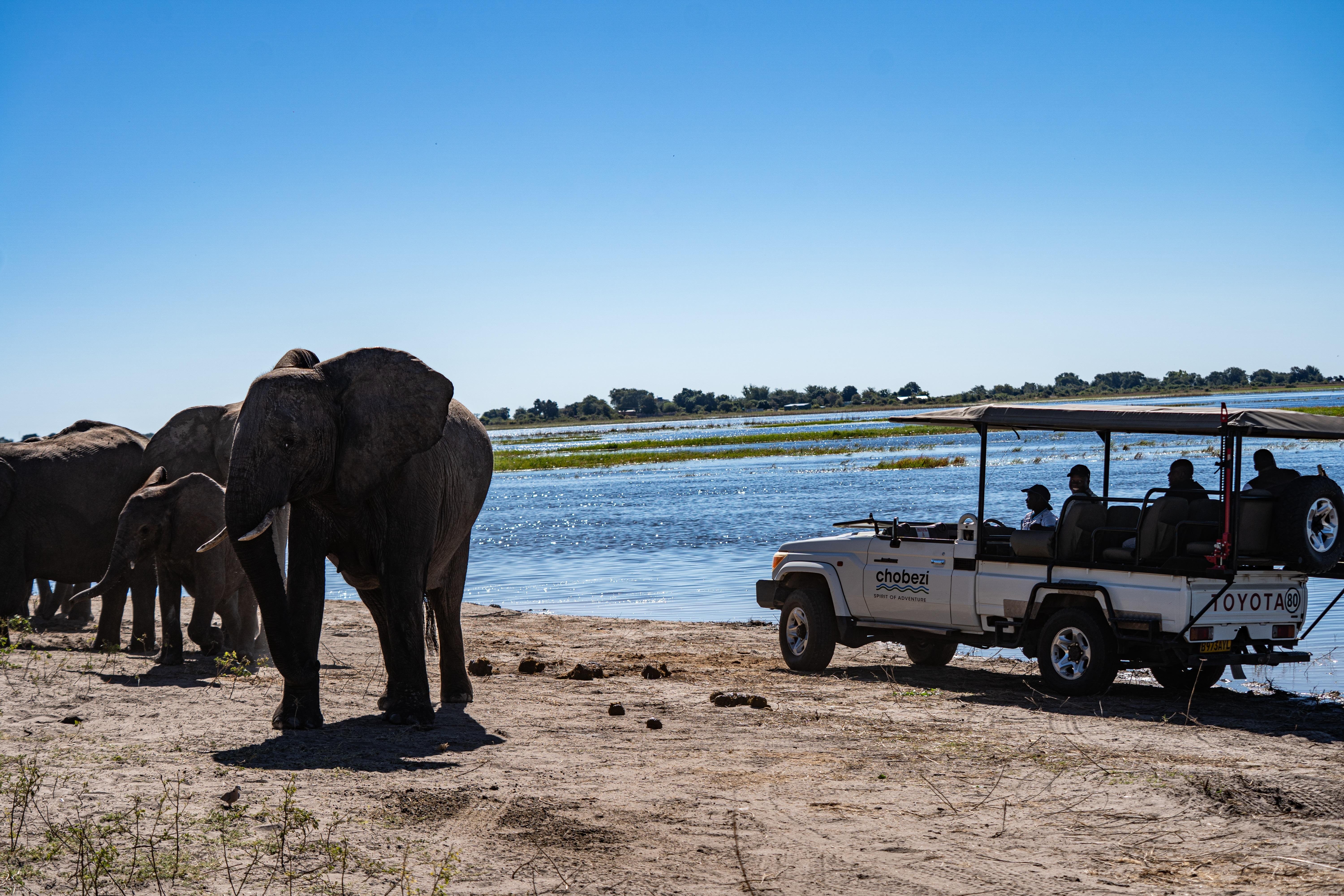 Full-Day Chobe Safari & River Cruise from Victoria Falls