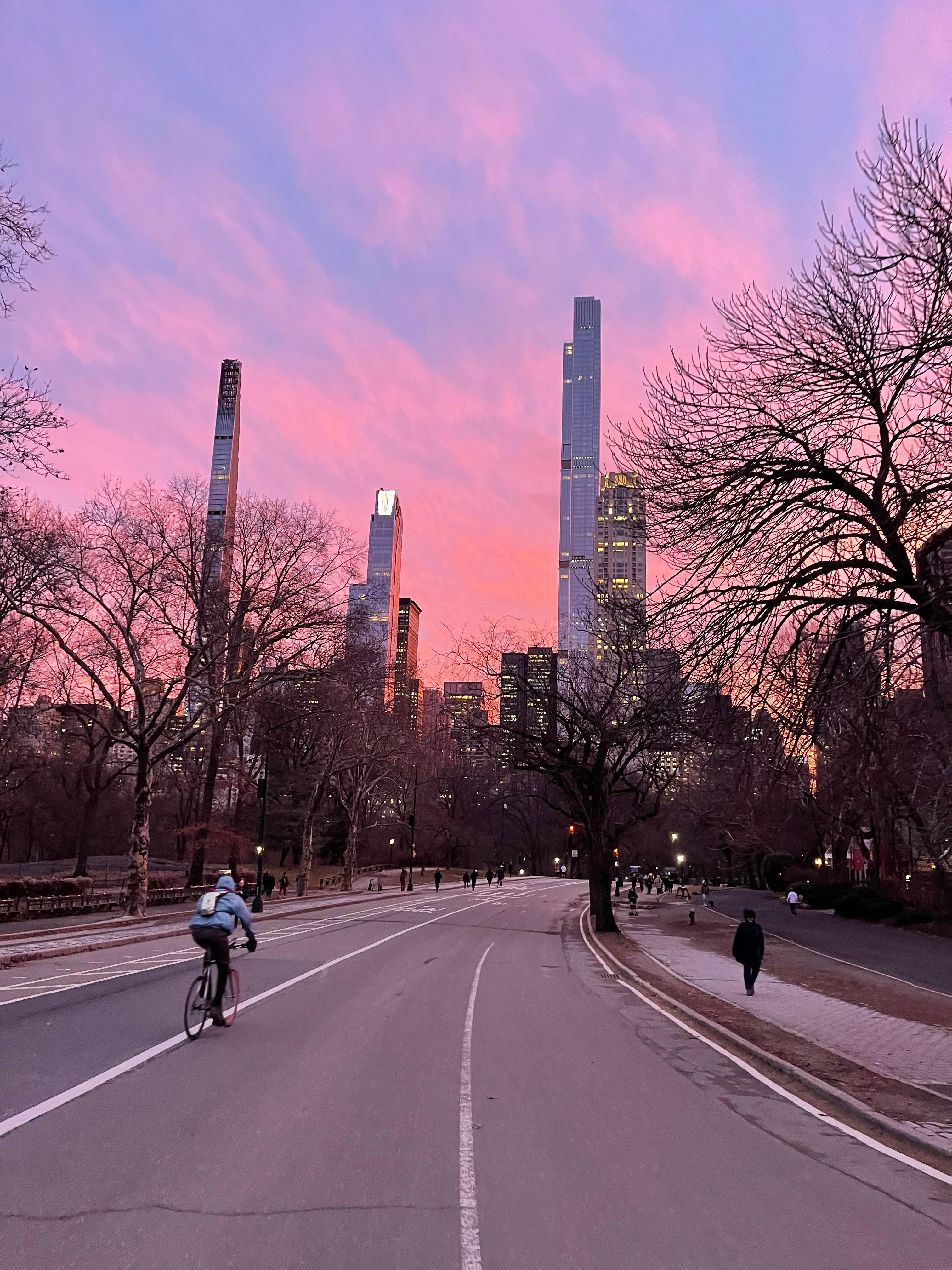 Central Park Exploration by Pedicab or Carriage