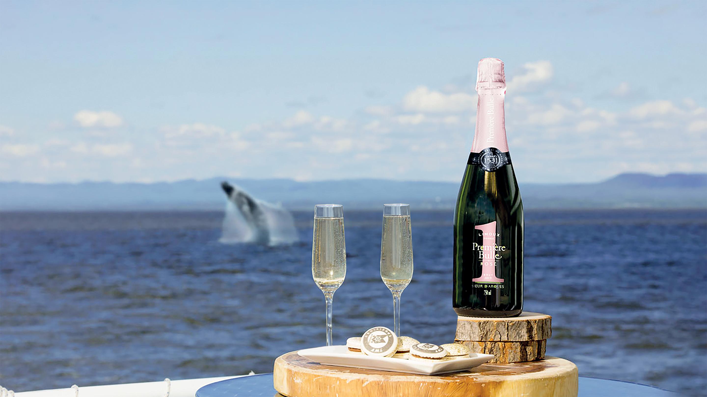 Tadoussac Whale Watching: VIP Lounge or Upper Deck Cruise