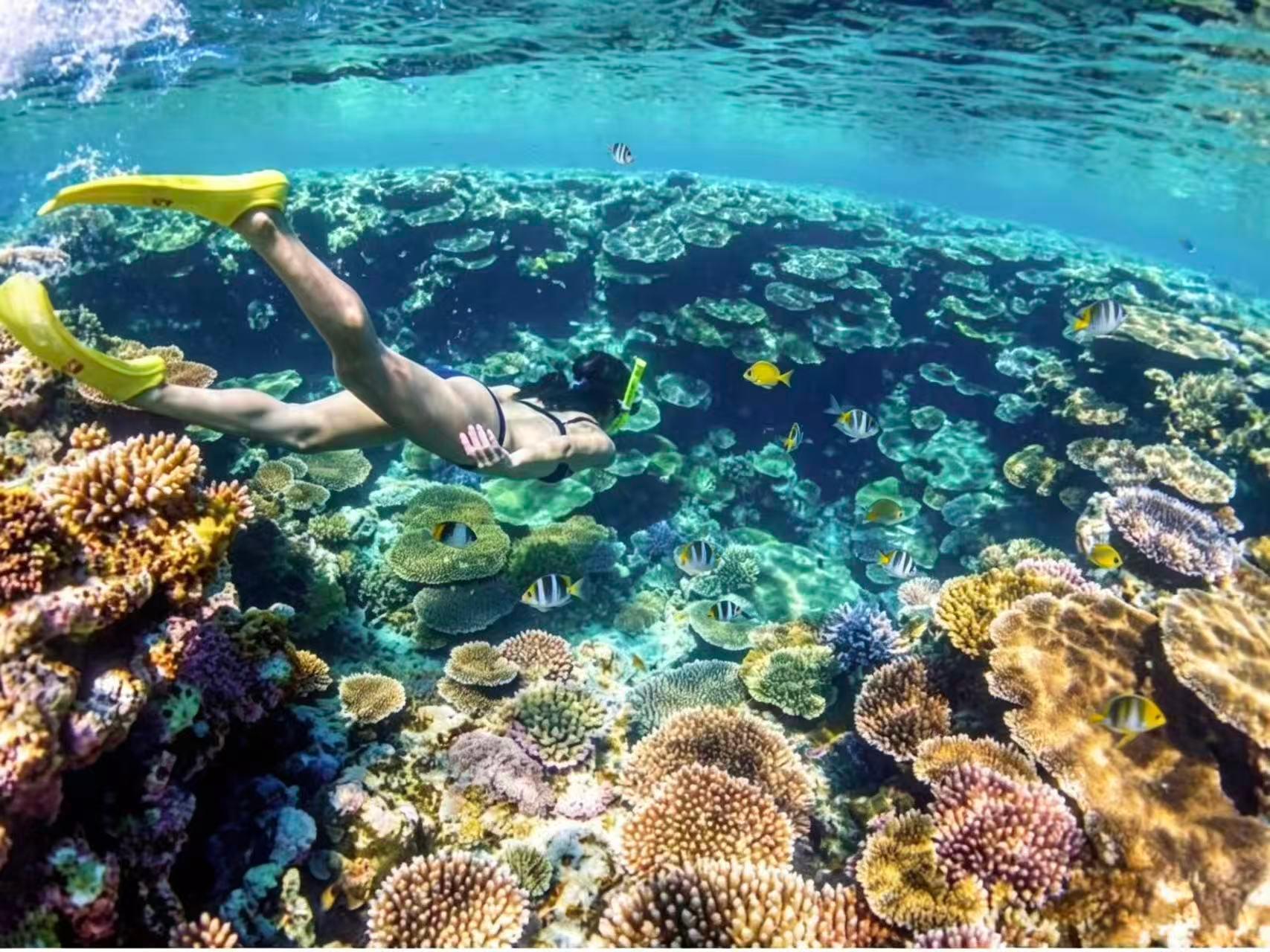 Mabul Island & Kapalai Reef Snorkeling Adventure