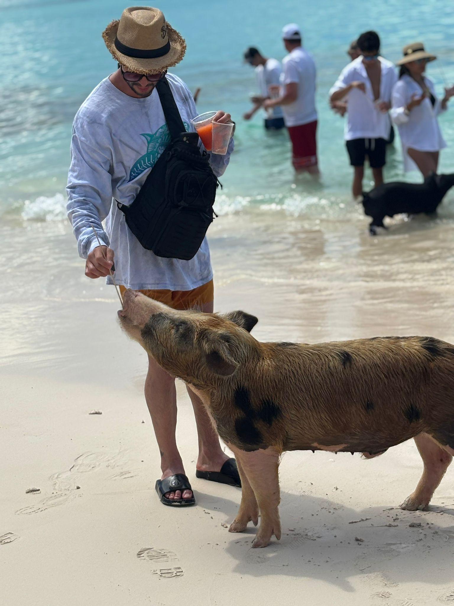 Nassau 3-Island Speedboat Adventure: Pigs, Turtles & Snorkeling