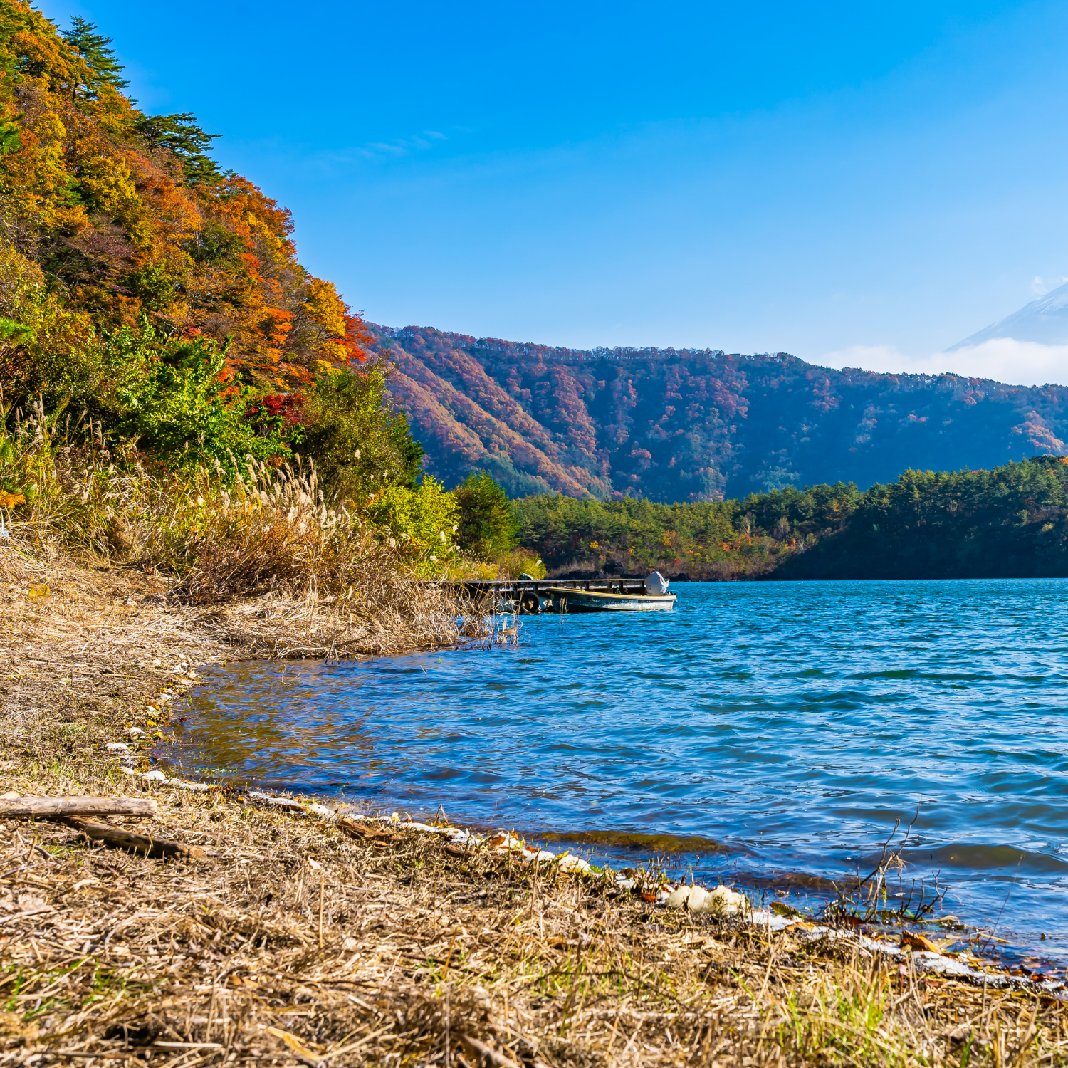 Private Nikko Day Tour from Tokyo – Fully Customizable