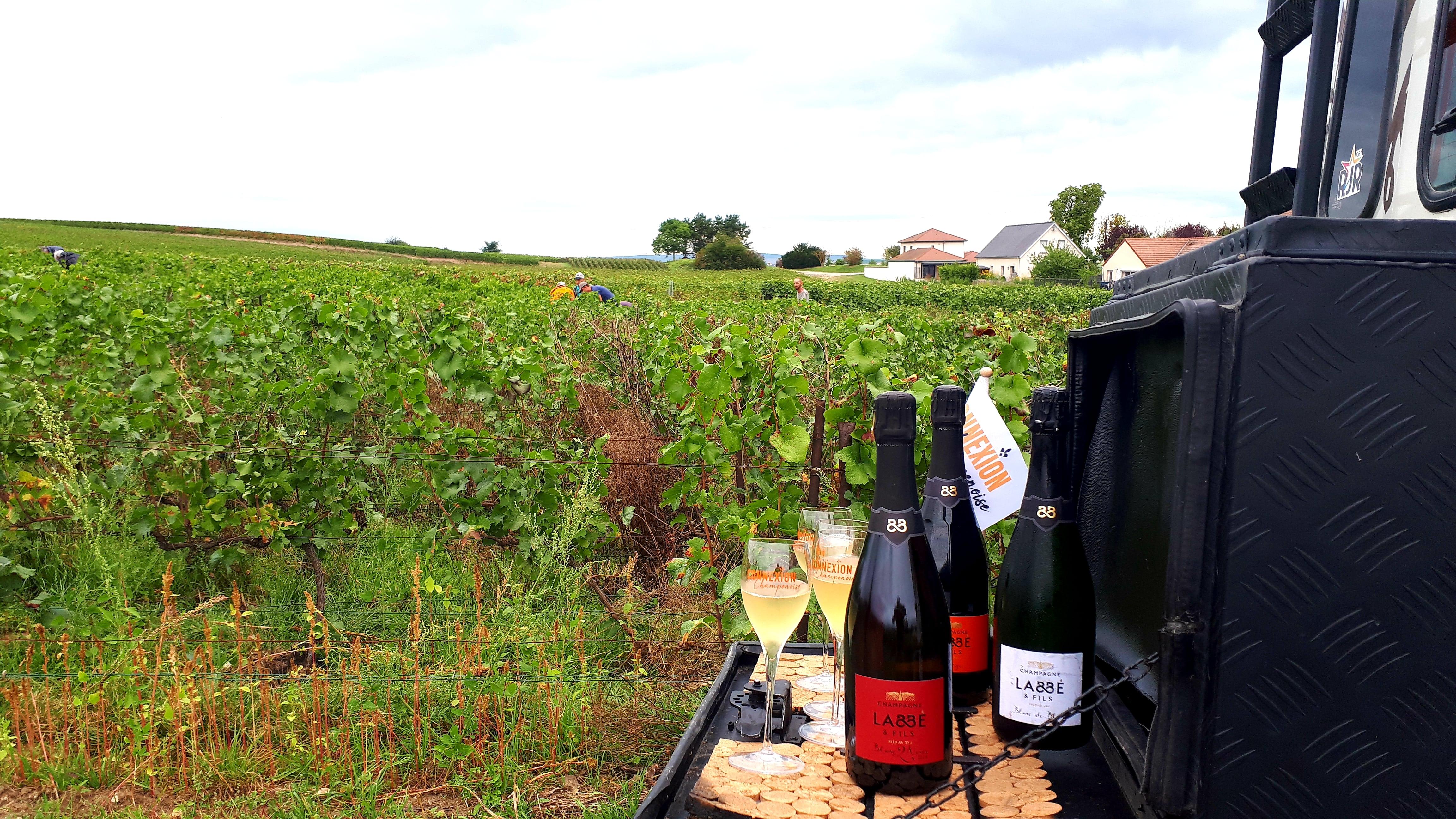 Dégustation de champagne balade panoramique dans les vignes