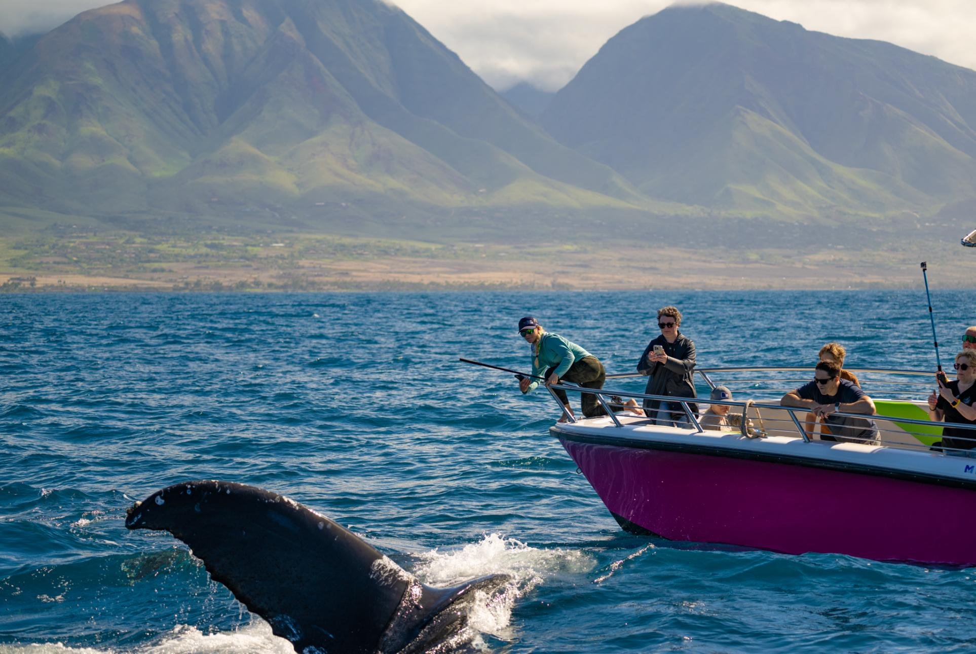 Small-Group Humpback Whale Encounter in Maui